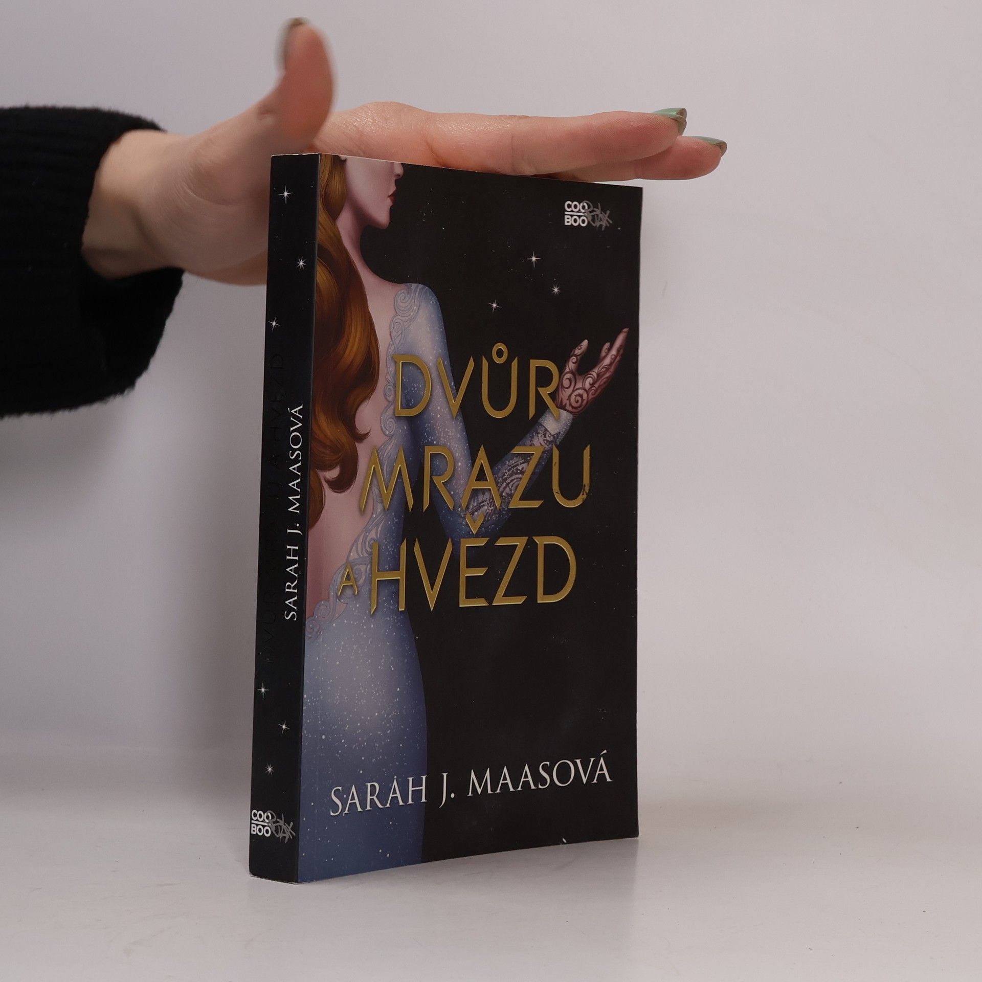 Sarah J. Maas Dvůr mrazu a hvězd