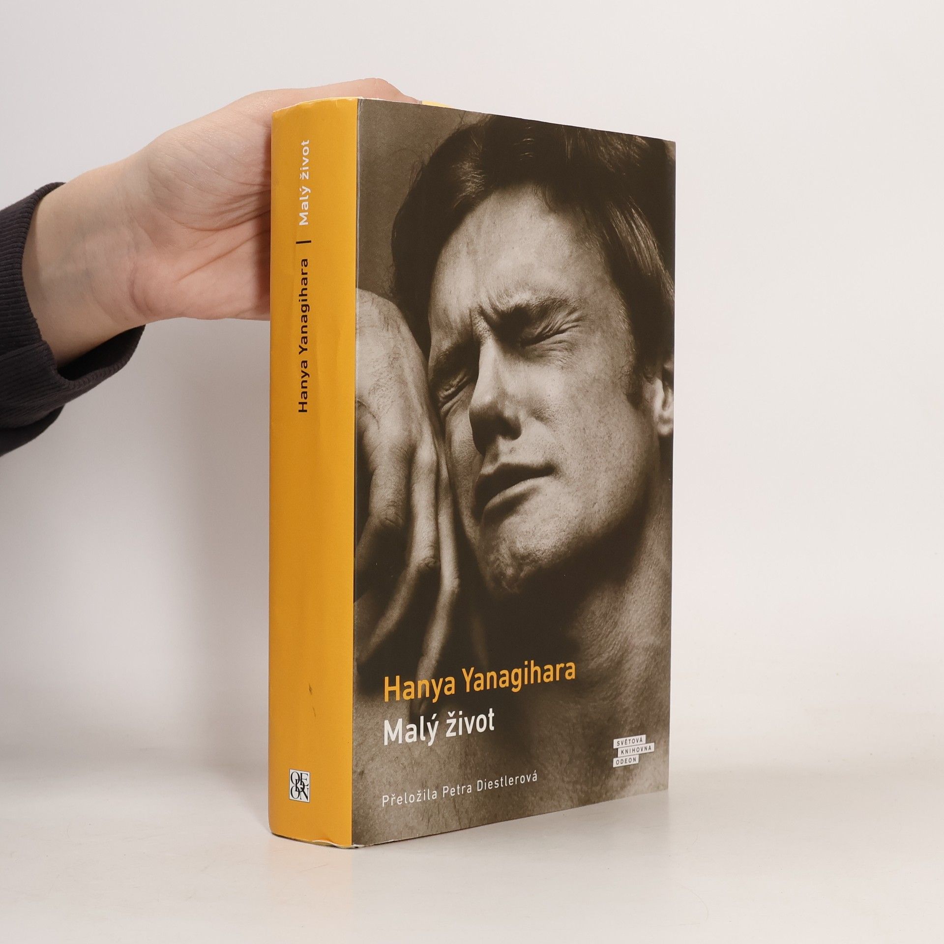 Hanya Yanagihara Malý život