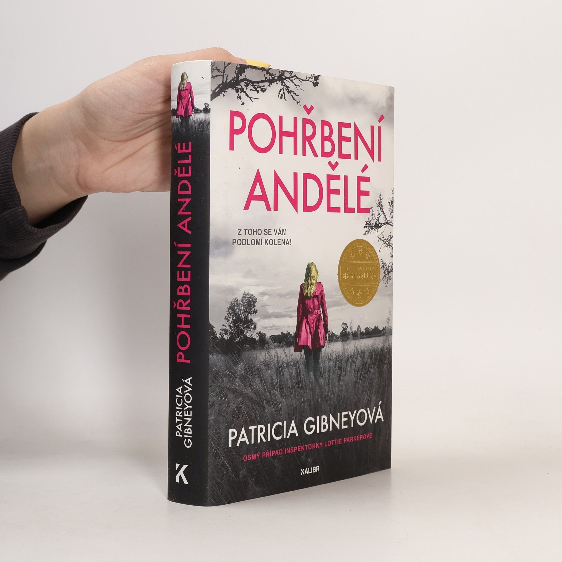Patricia Gibney Pohřbení andělé