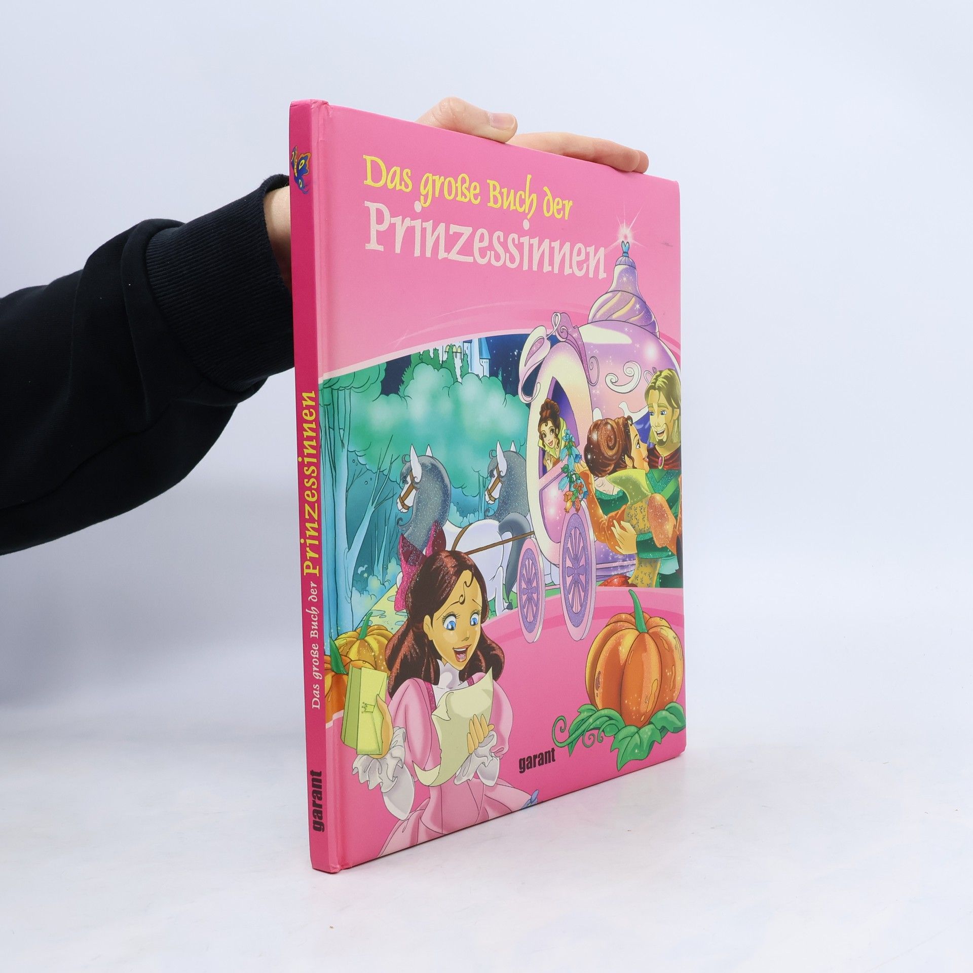 Autorenkollektiv Das große Buch der Prinzessinnen
