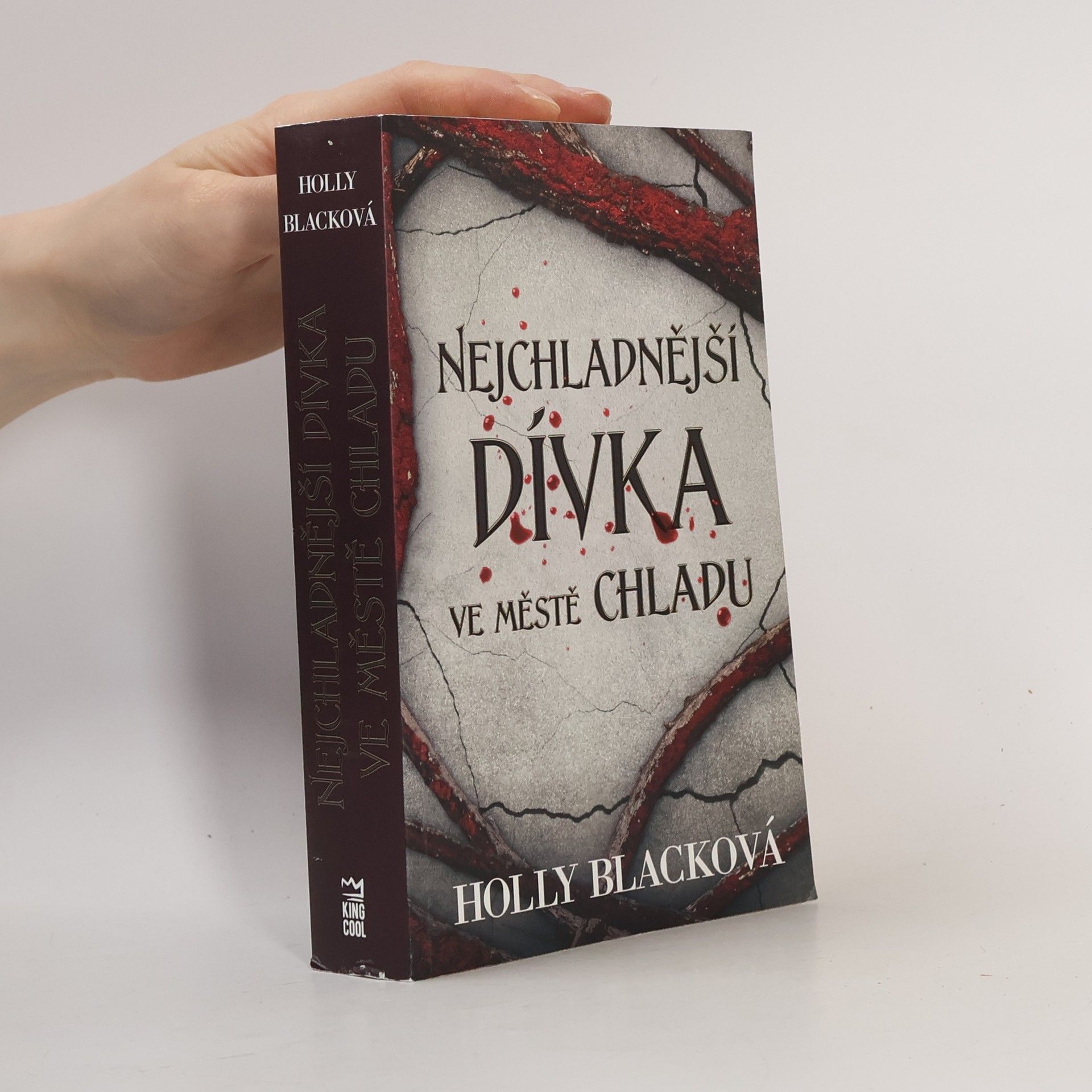 Holly Black Nejchladnější dívka ve městě chladu