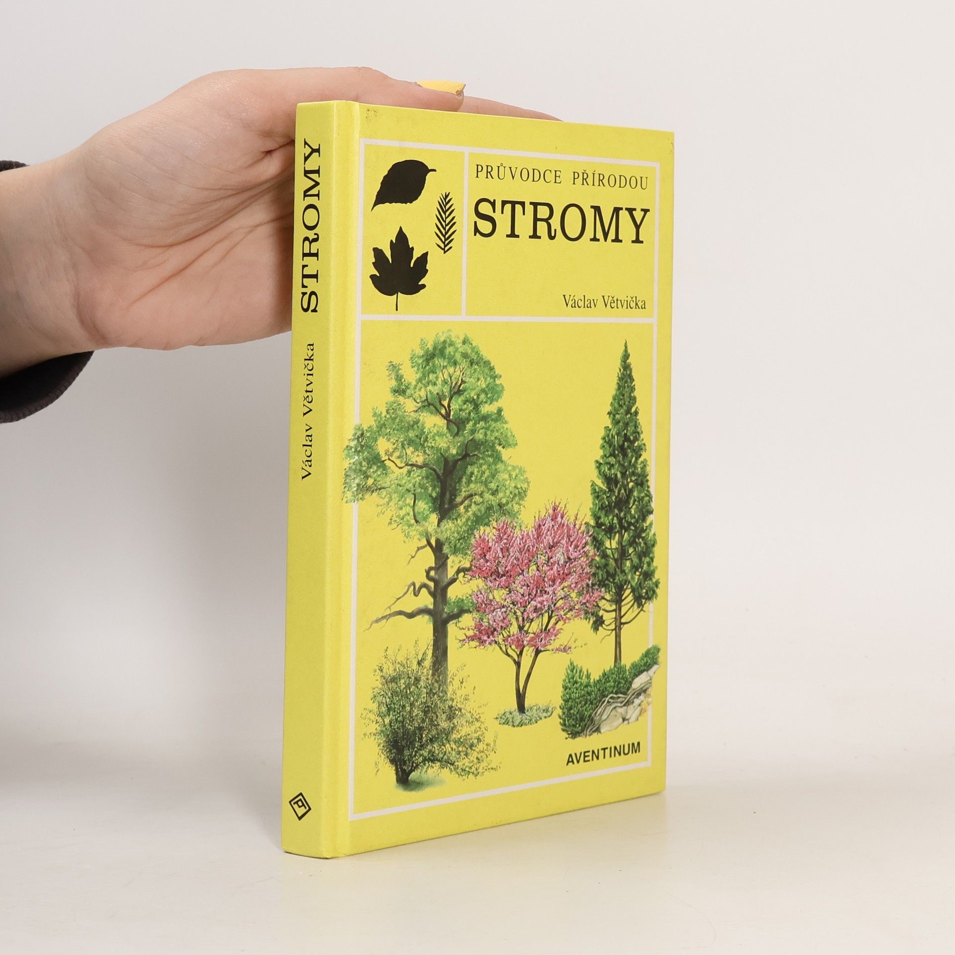 Václav Větvička Evropské stromy