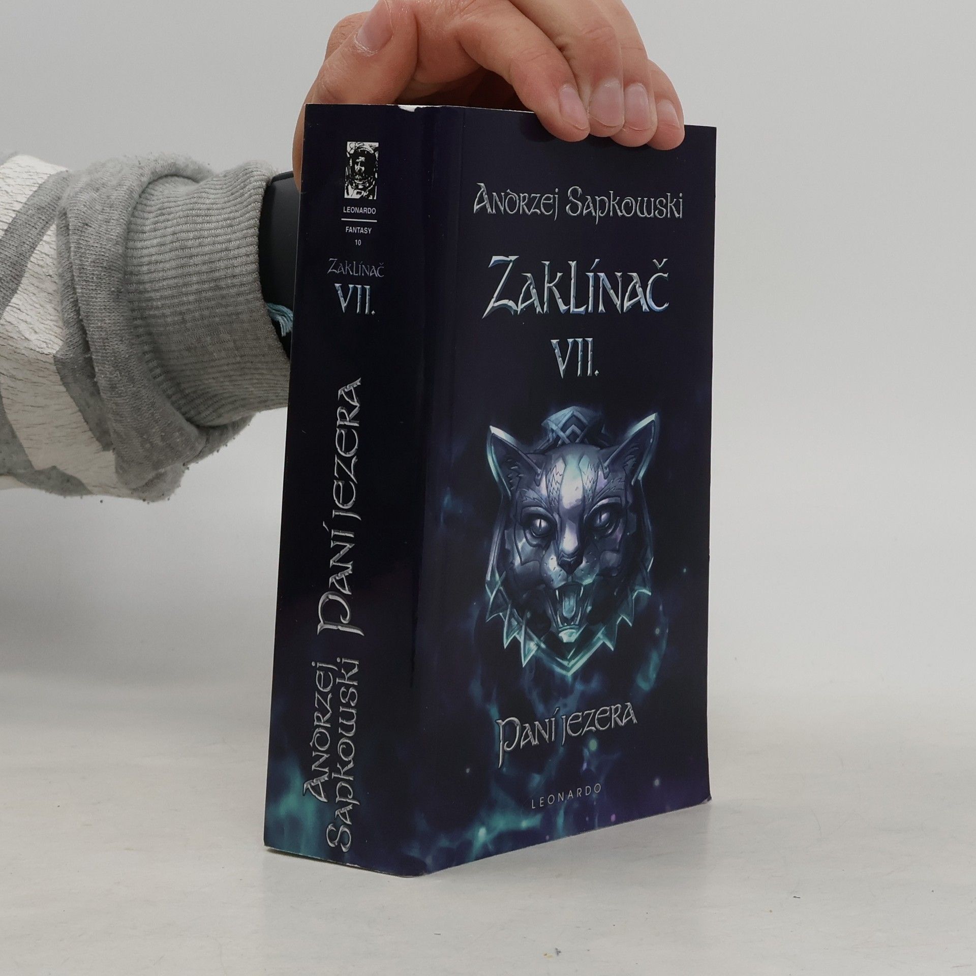 Zaklínač VII. Paní jezera