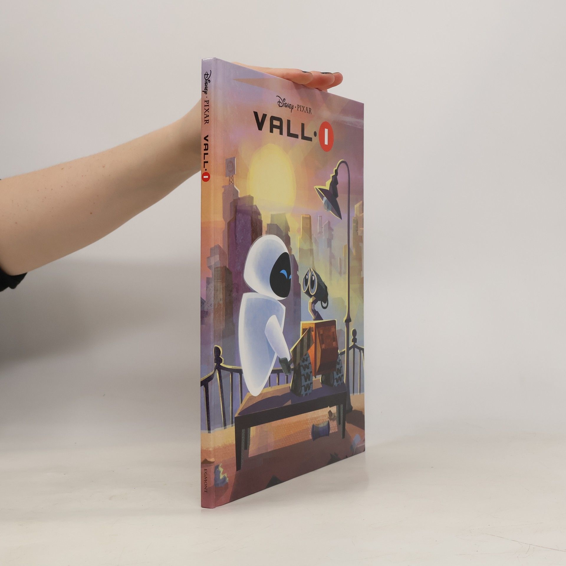 Kolektiv autorů Vall-I