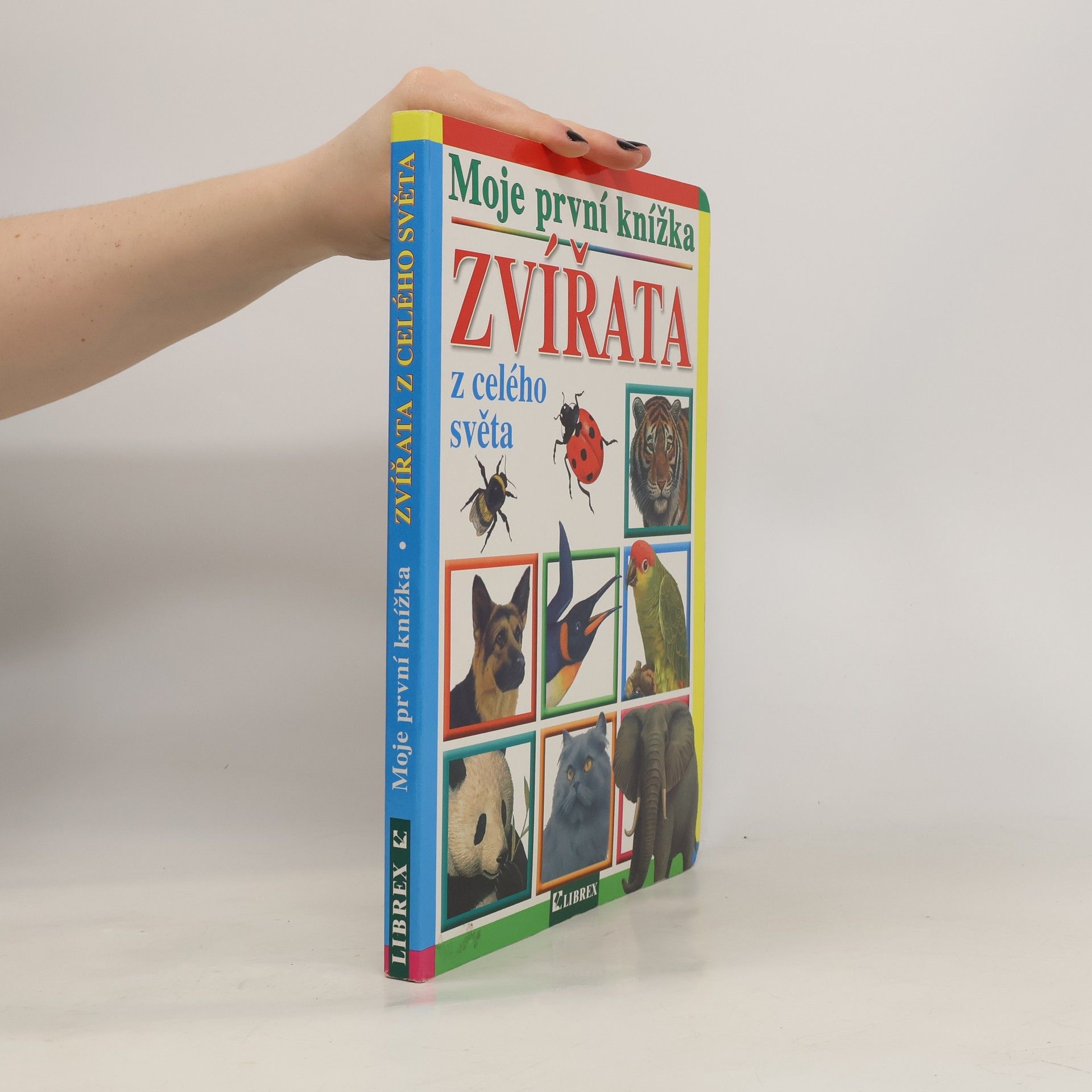 Autorenkollektiv Zvířata z celého světa