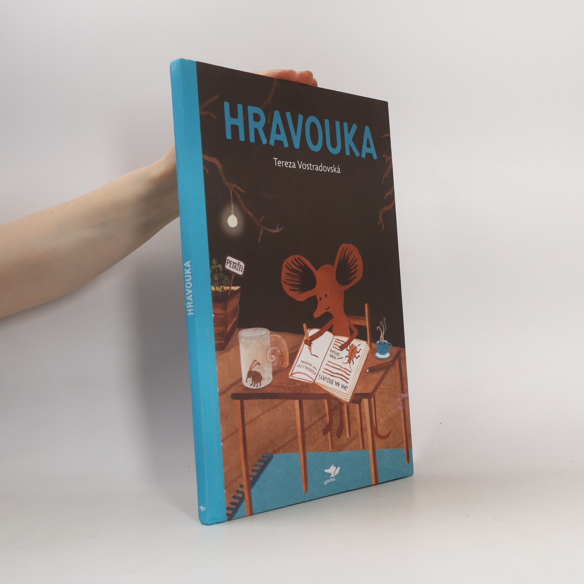 Tereza Vostradovská Hravouka