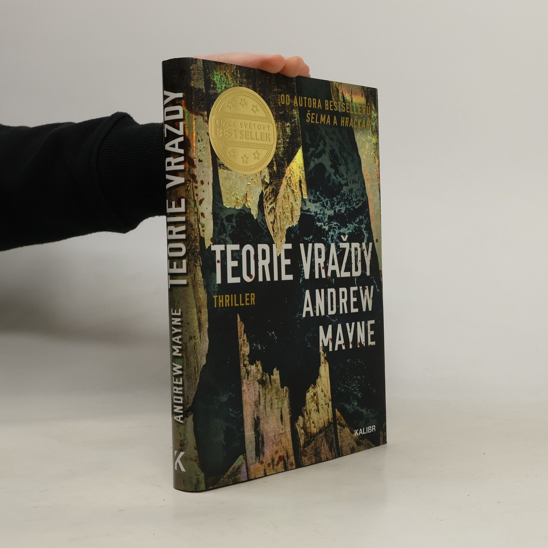 Andrew Mayne Teorie vraždy