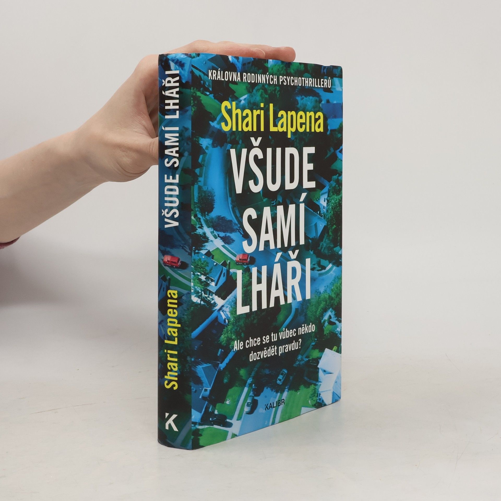Shari Lapena Všude samí lháři