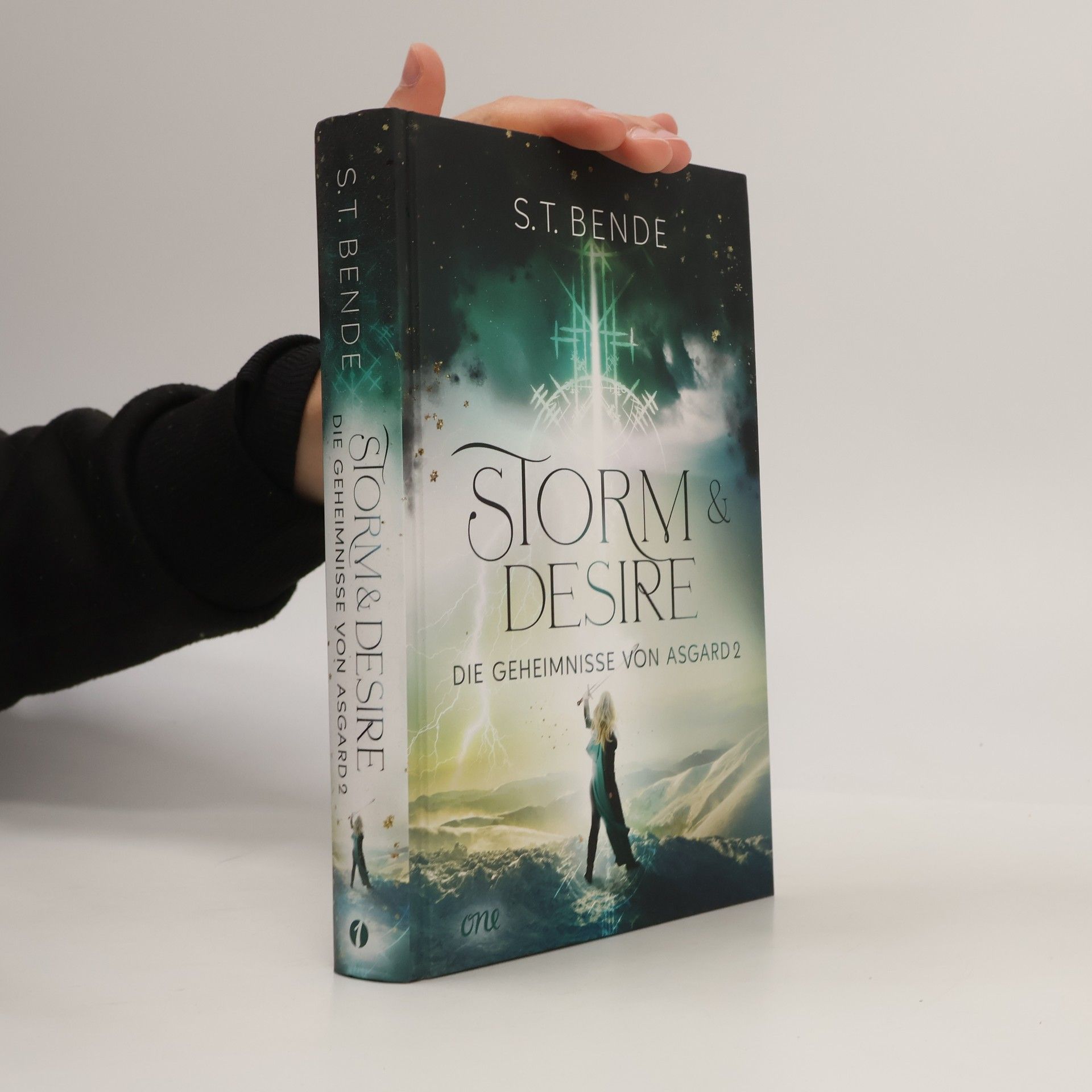 S.T. Bende Storm & Desire - Die Geheimnisse von Asgard Band 2