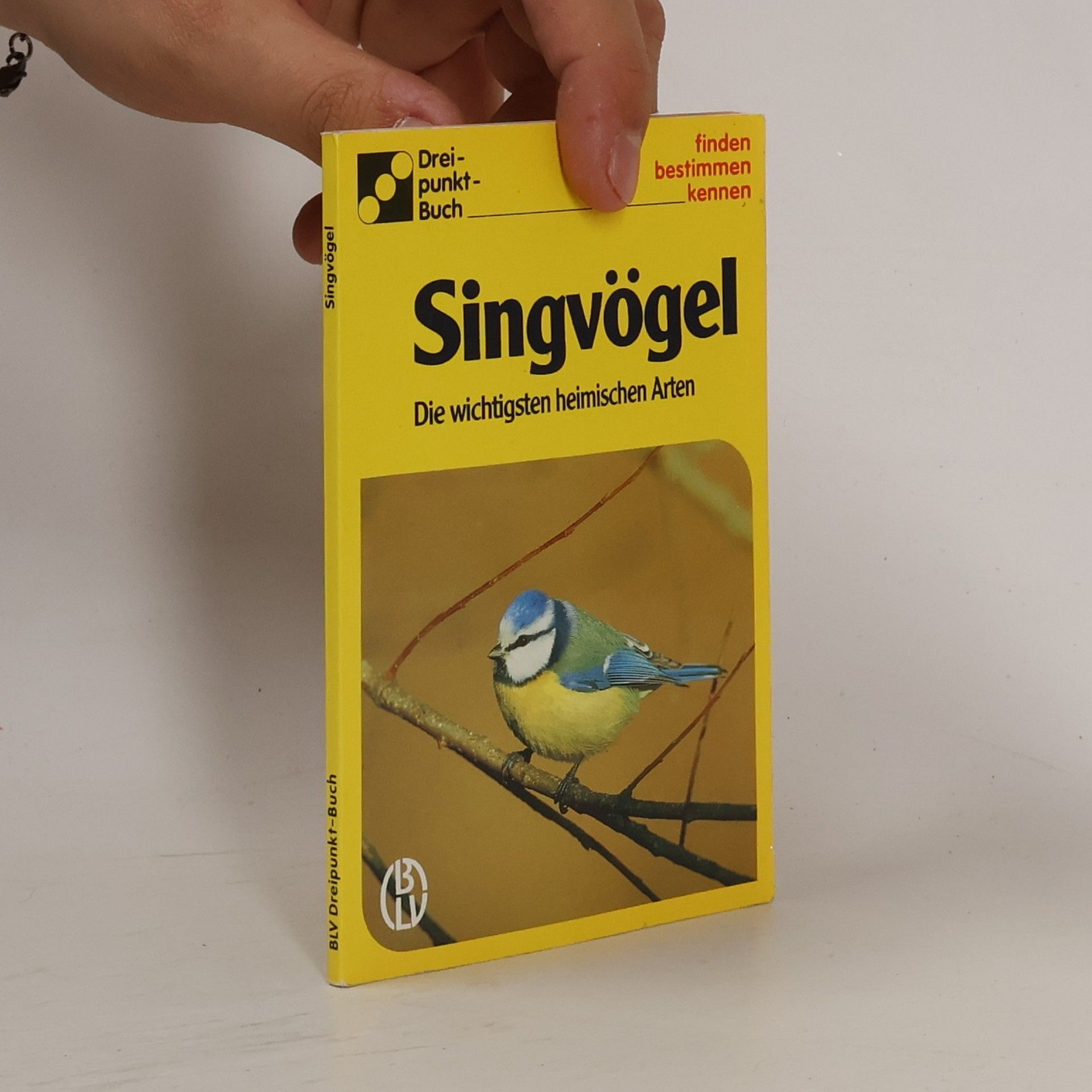 Alfred Handel Singvögel