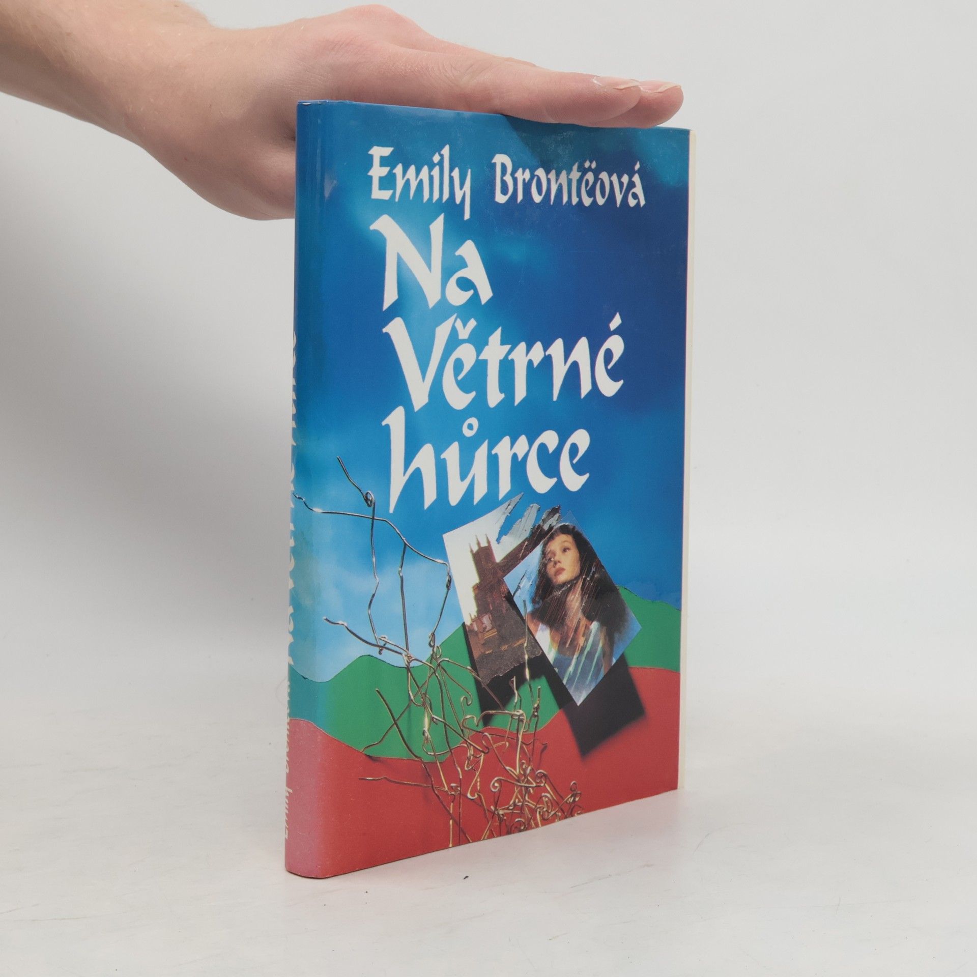 Emily Brontë Na Větrné hůrce