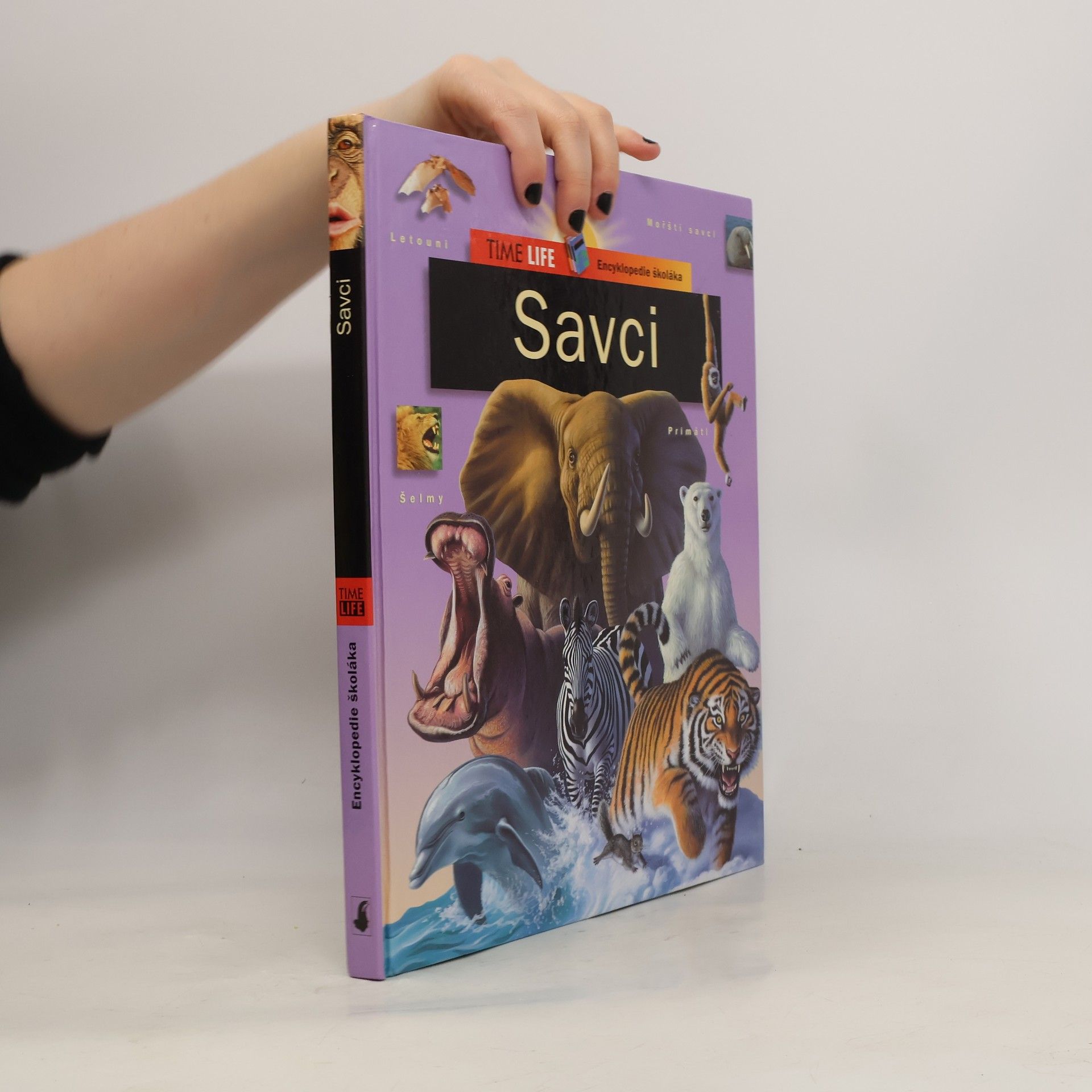 Various authors Savci