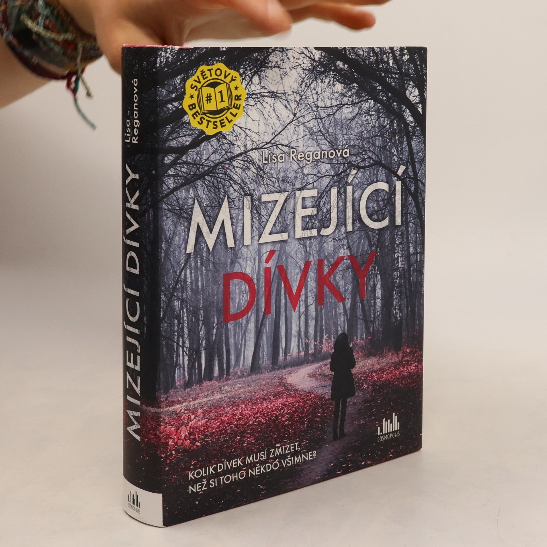 Lisa Regan Mizející dívky