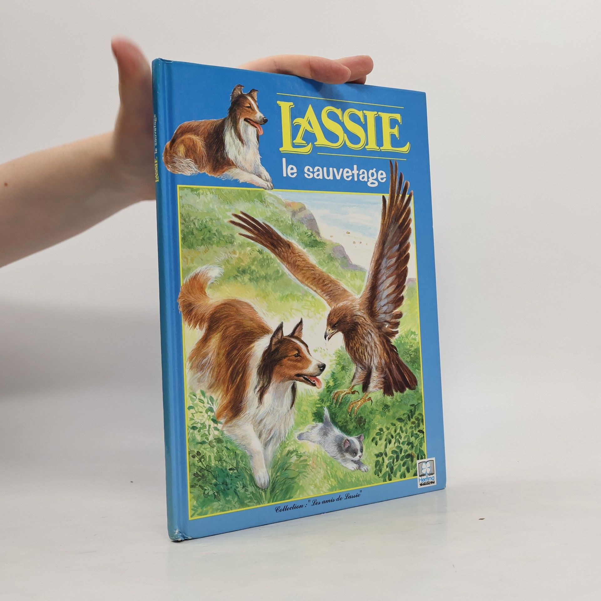 Autorenkollektiv Lassie le sauvetage