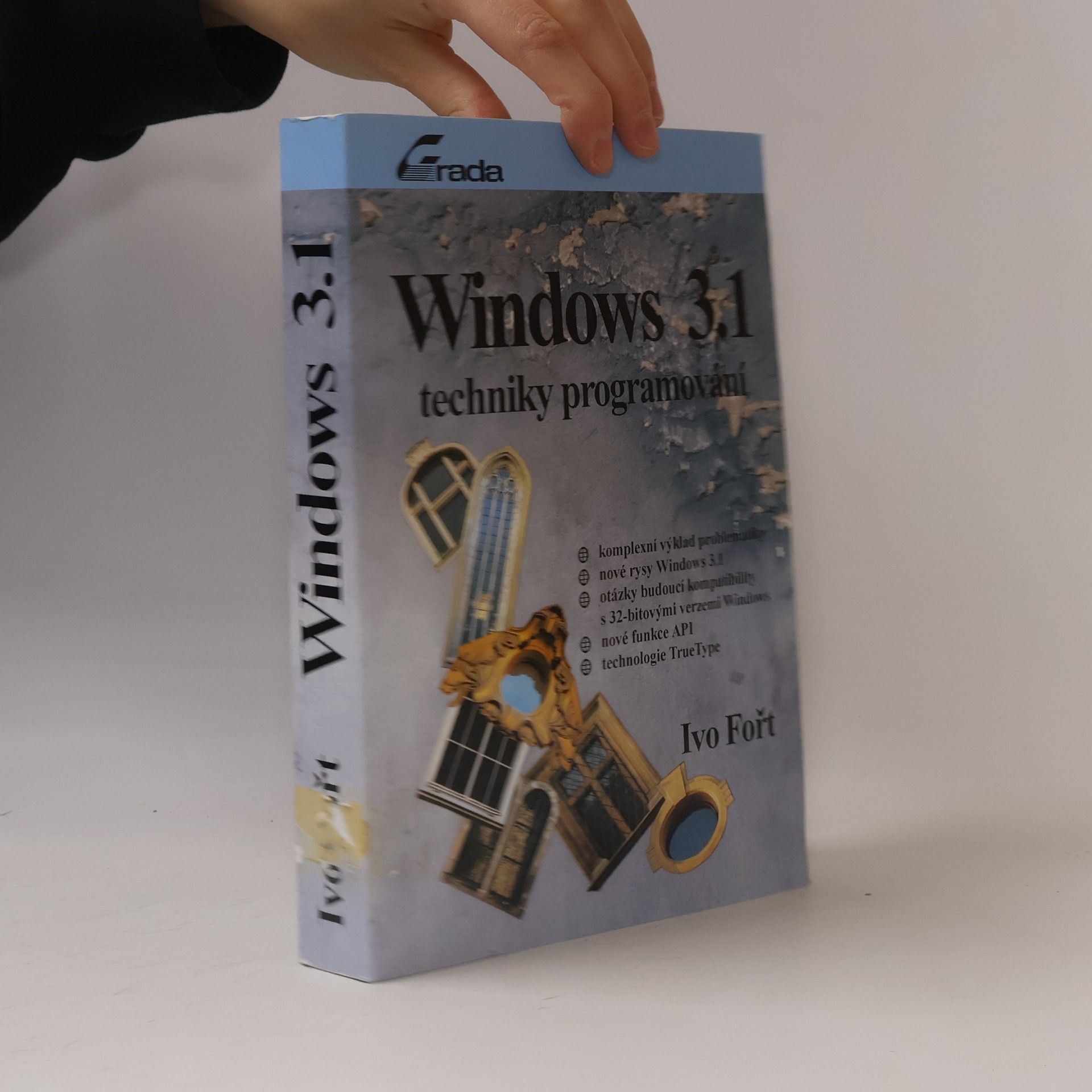 Ivo Fořt Windows 3.1 : techniky programování