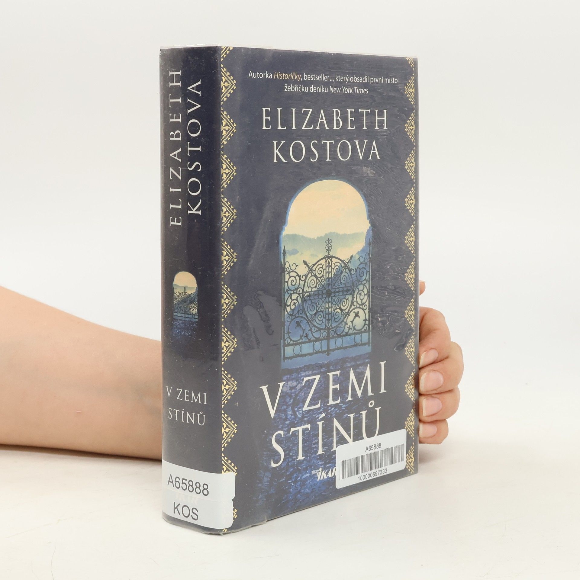 Elizabeth Kostova V zemi stínů