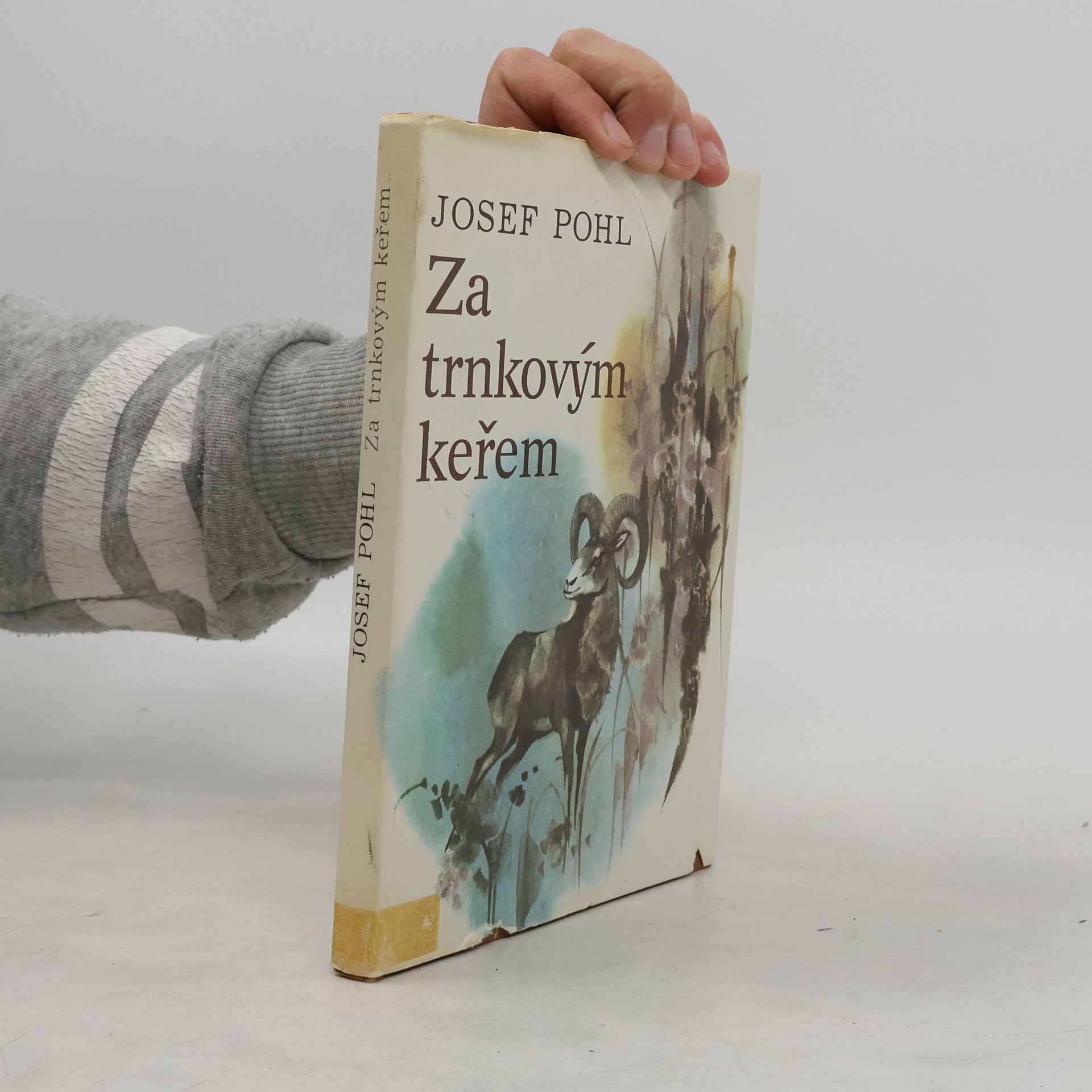 Josef Pohl Za trnkovým keřem