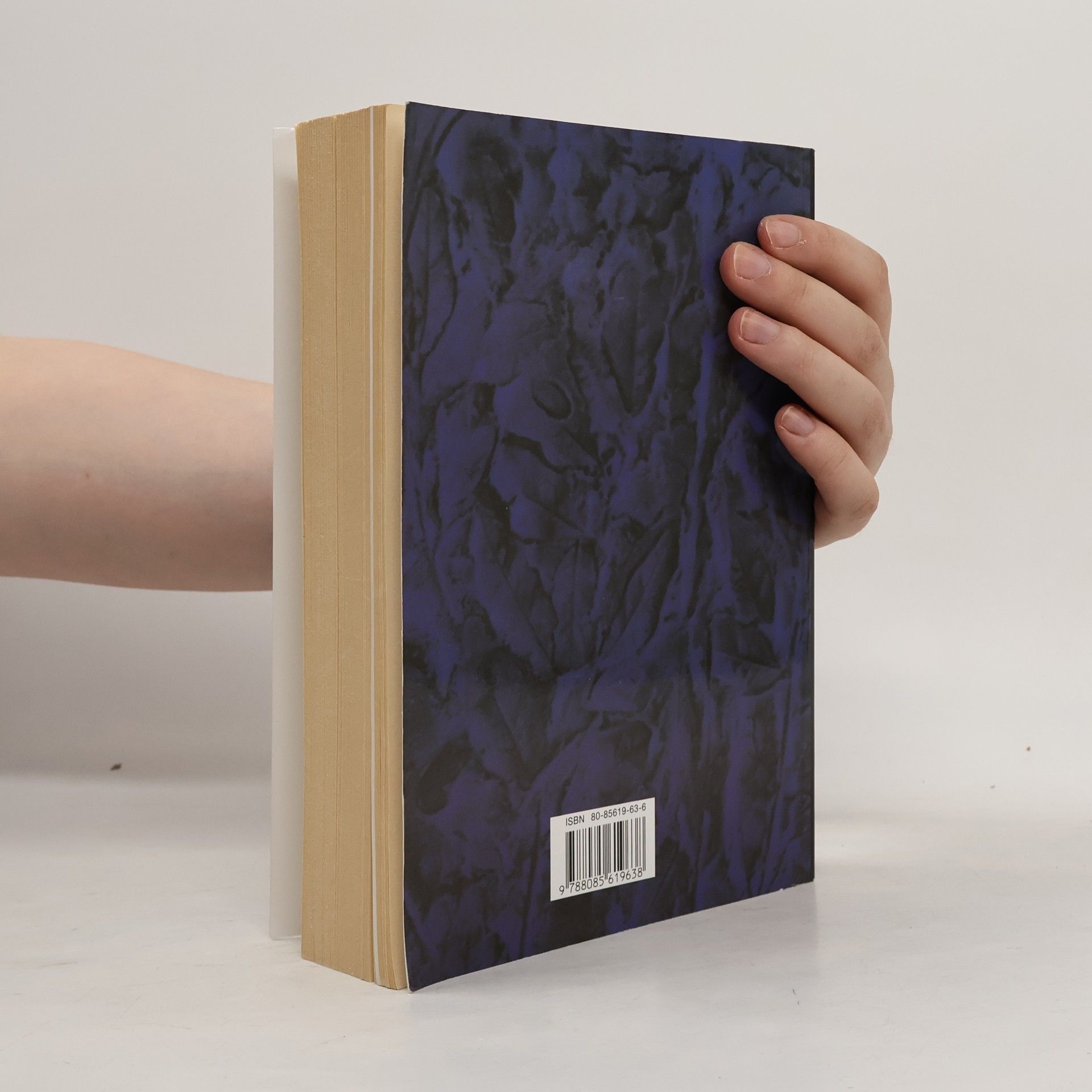 Maurice Nadeau Dějiny surrealismu a surrealistické dokumenty