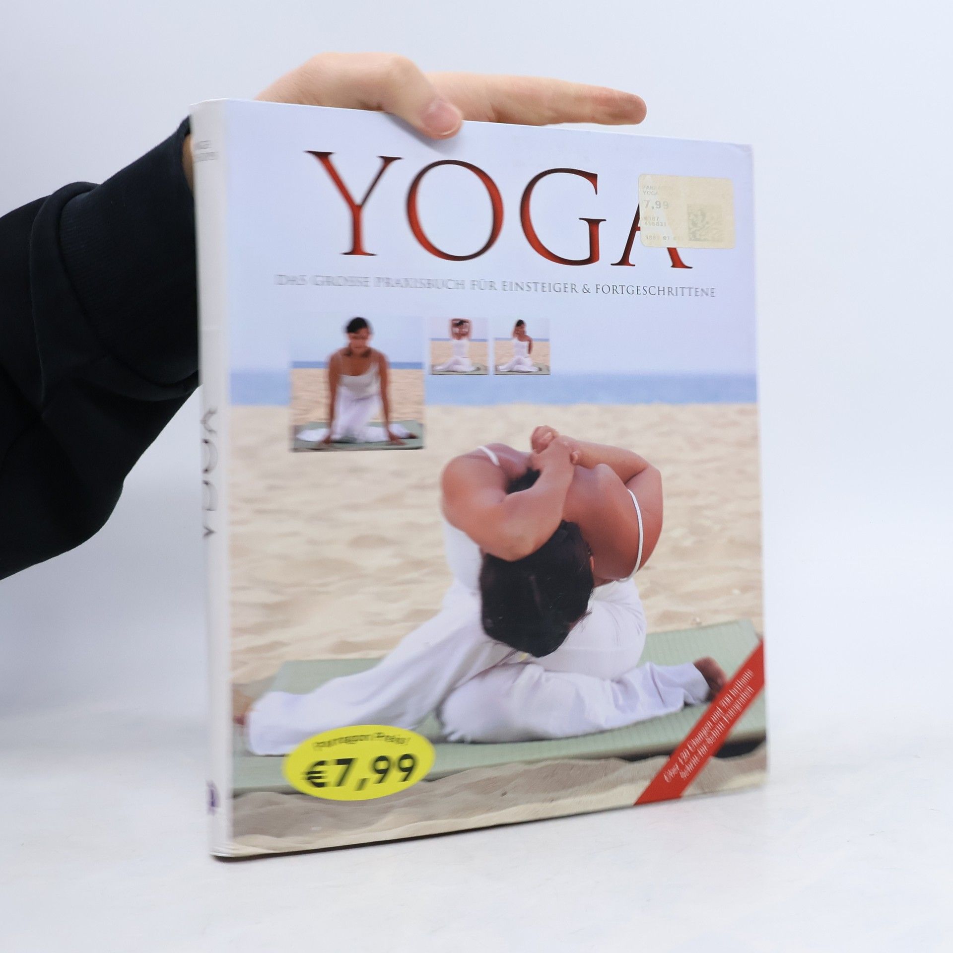 Inge Schöps Yoga