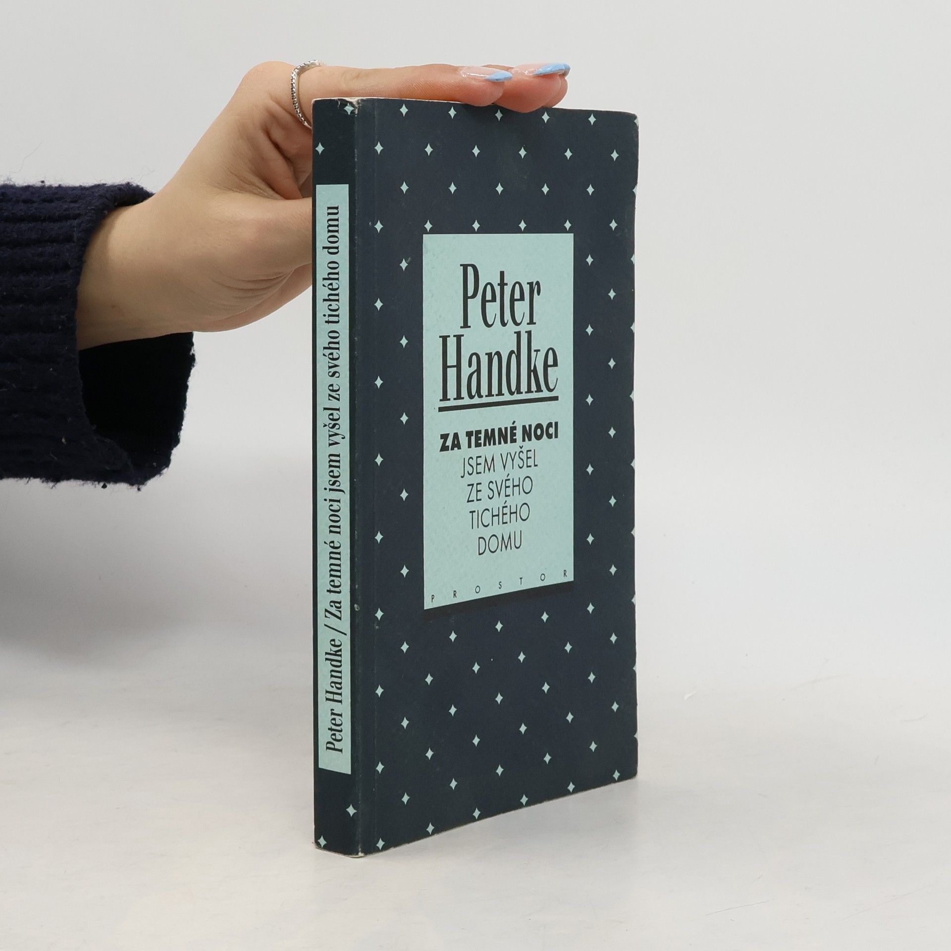 Peter Handke Za temné noci jsem vyšel ze svého tichého domu