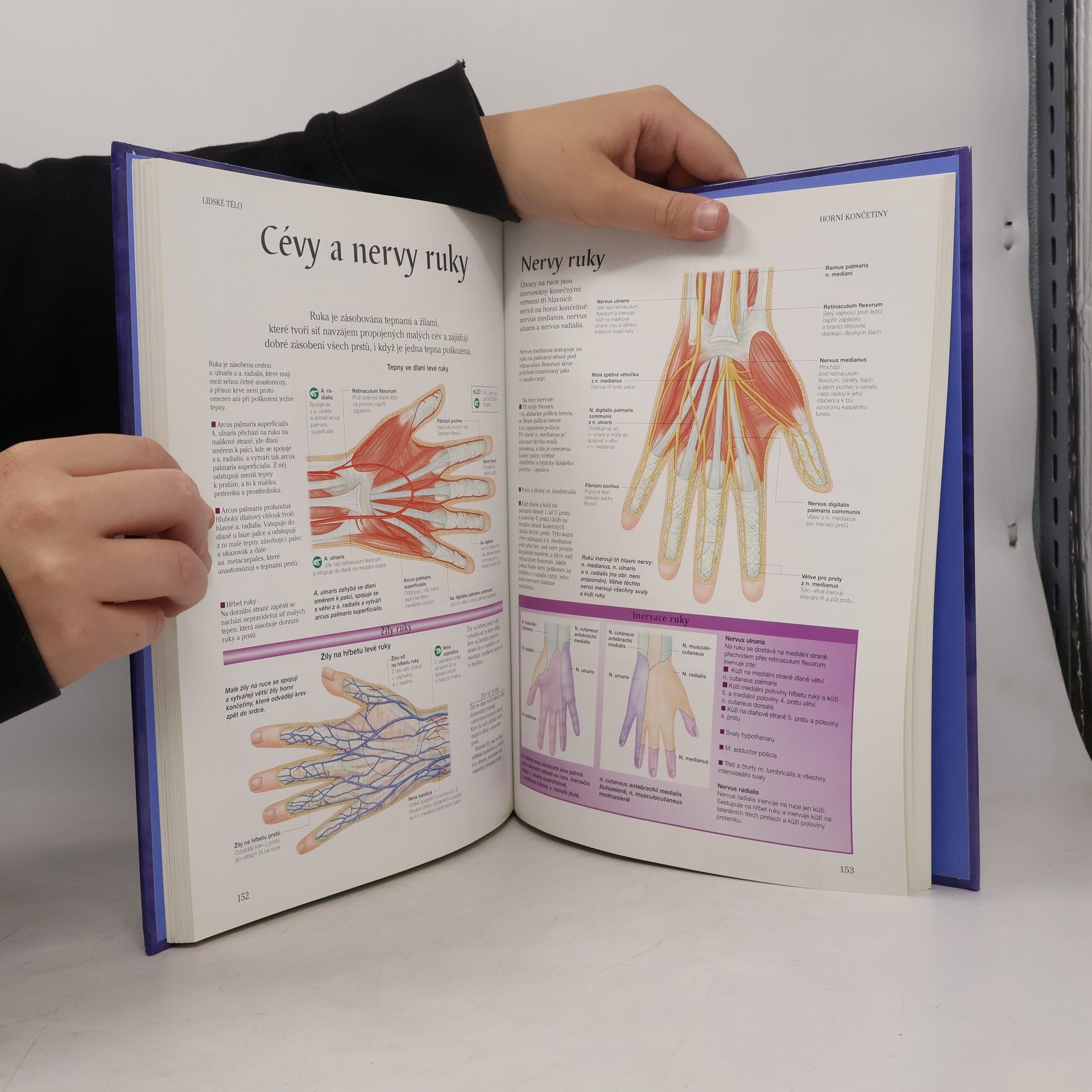 Peter H. Abrahams Lidské tělo : atlas anatomie člověka