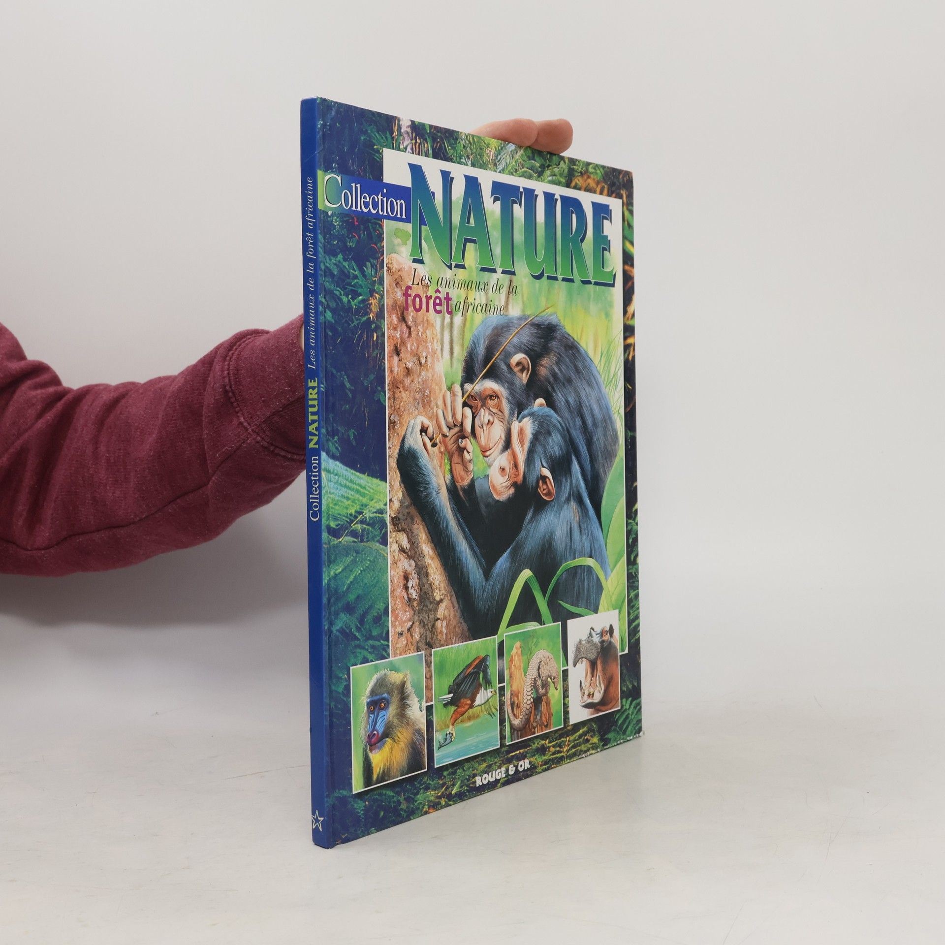 Autorenkollektiv Collecion Nature. Les animaux de la forêt africaine