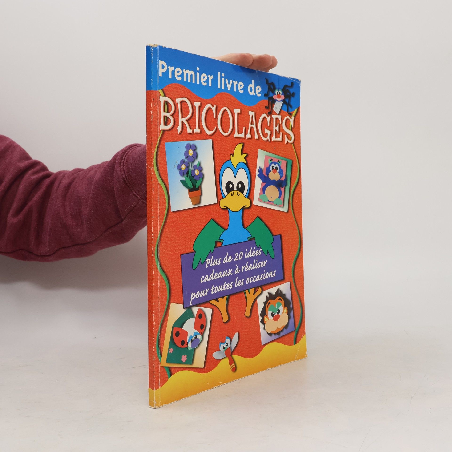 Auteurscollectief Premier livre de bricolages