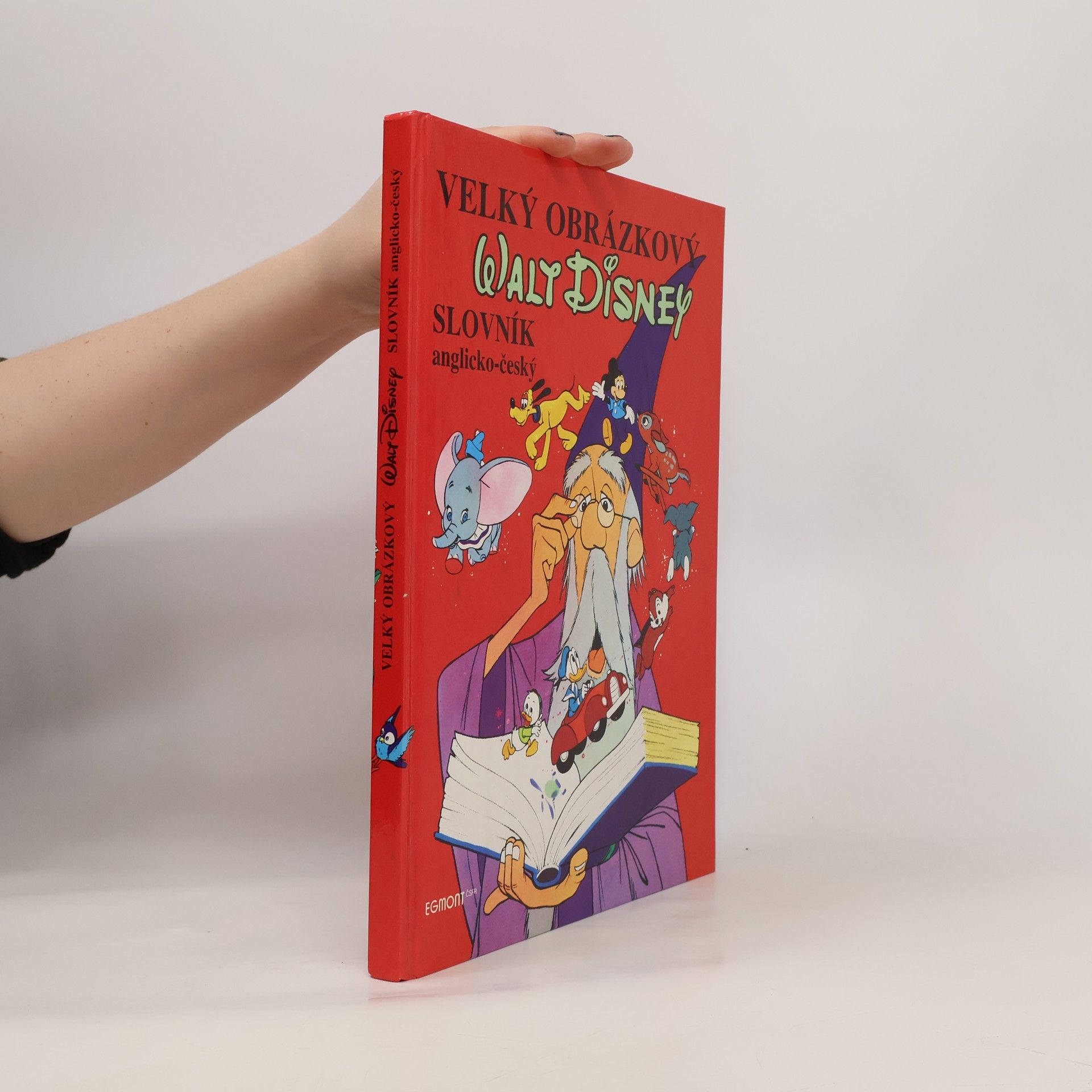 Walt Disney Velký obrázkový slovník anglicko-český