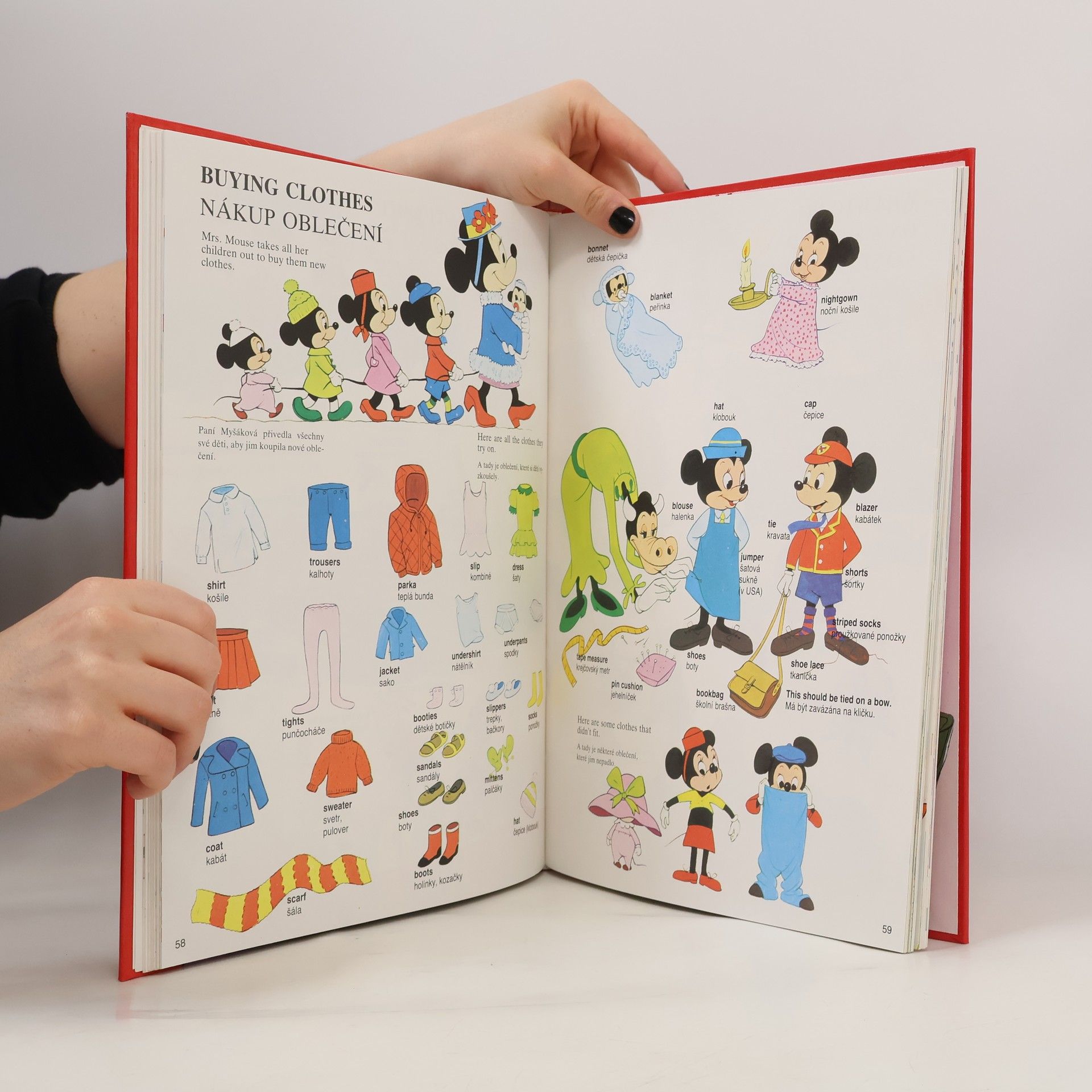 Walt Disney Velký obrázkový slovník anglicko-český