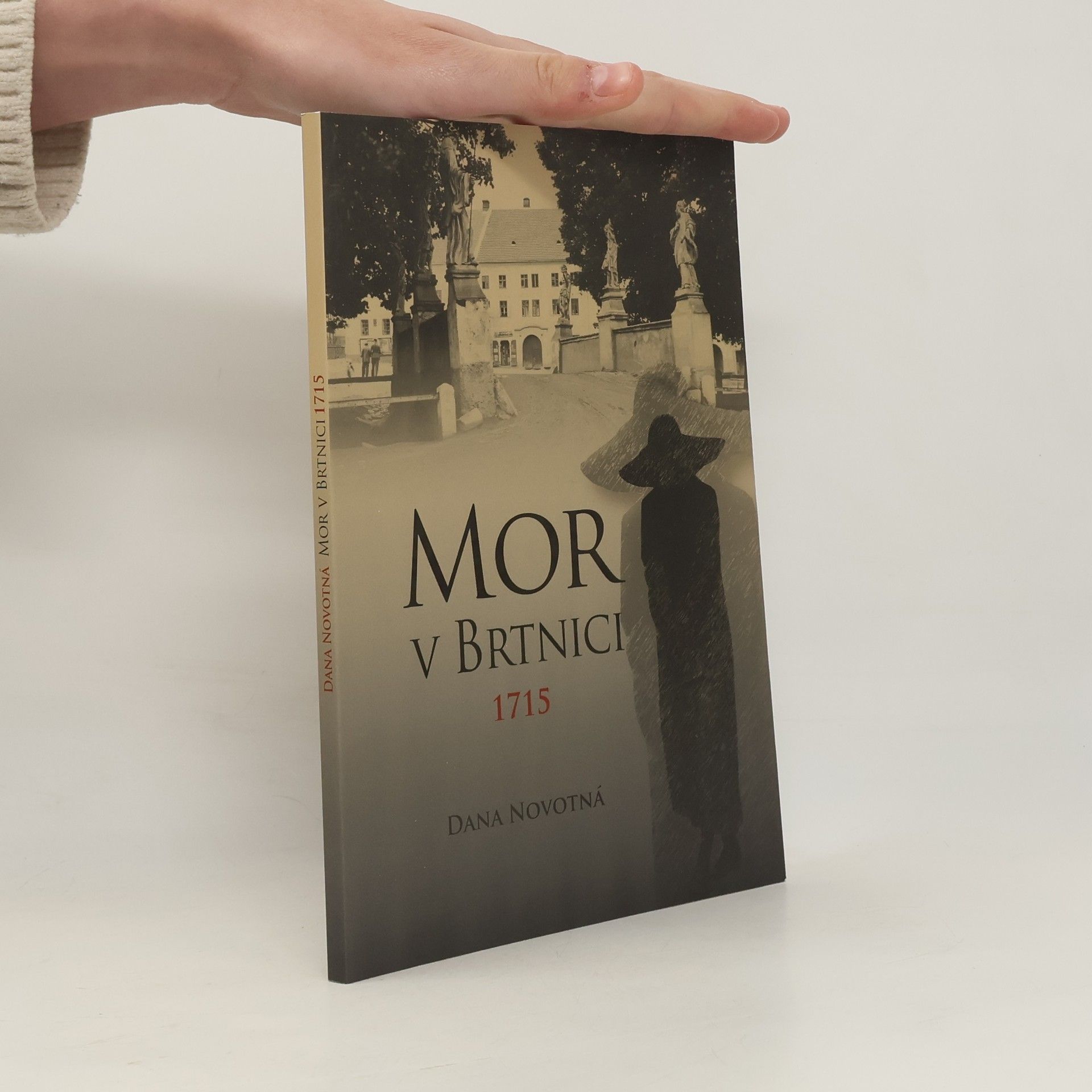 Mor v Brtnici