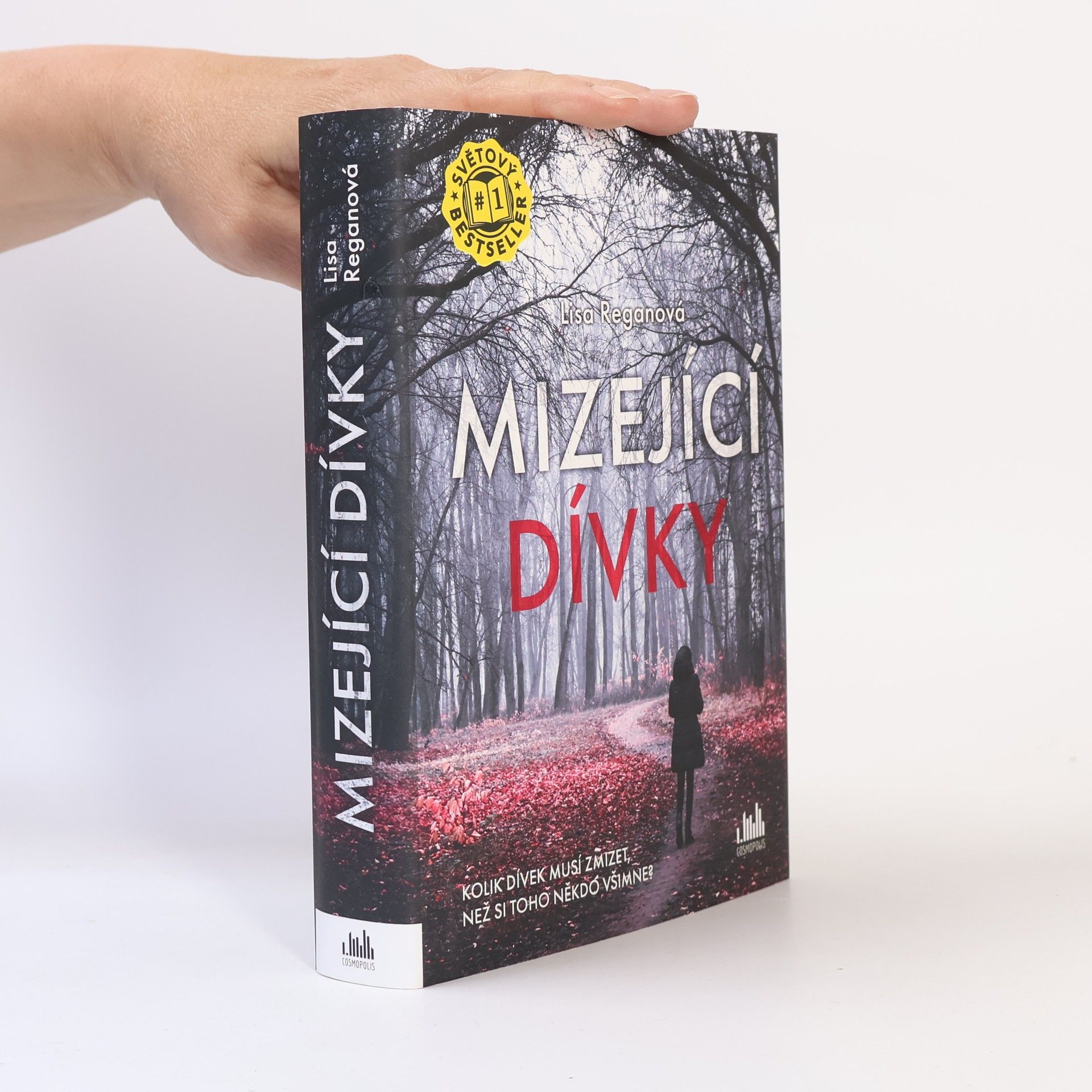 Lisa Regan Mizející dívky