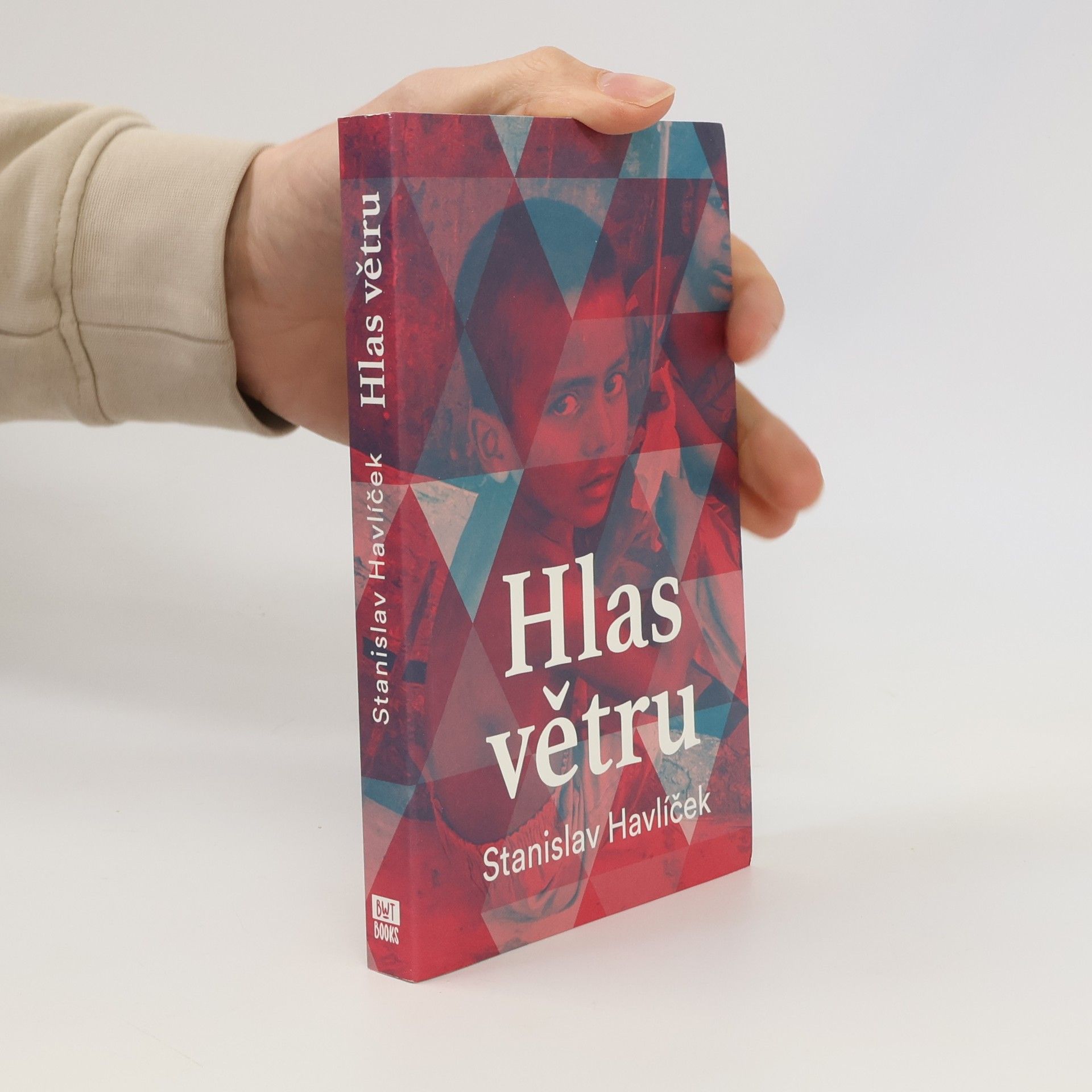 Stanislav Havlíček Hlas větru