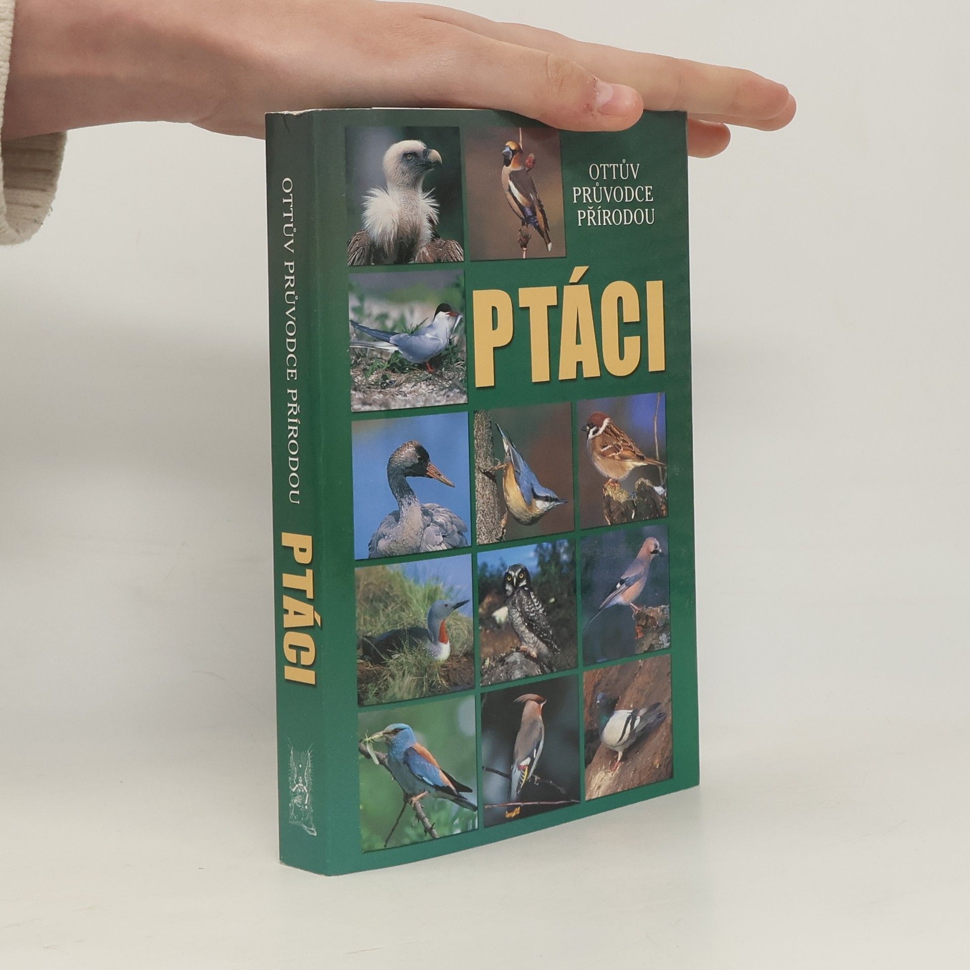 Alena Červená Ptáci - Ottův průvodce přírodou