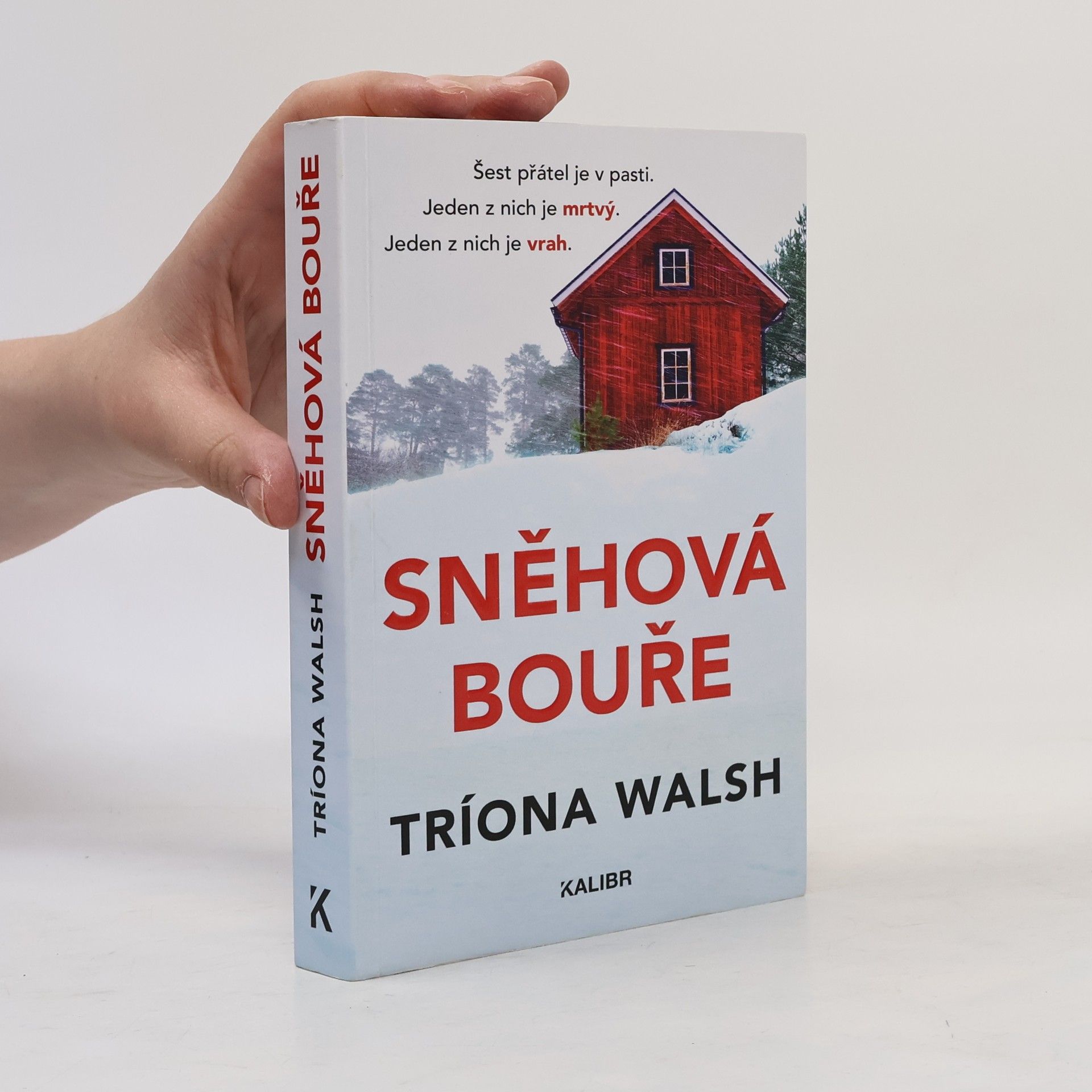 Tríona Walsh Sněhová bouře