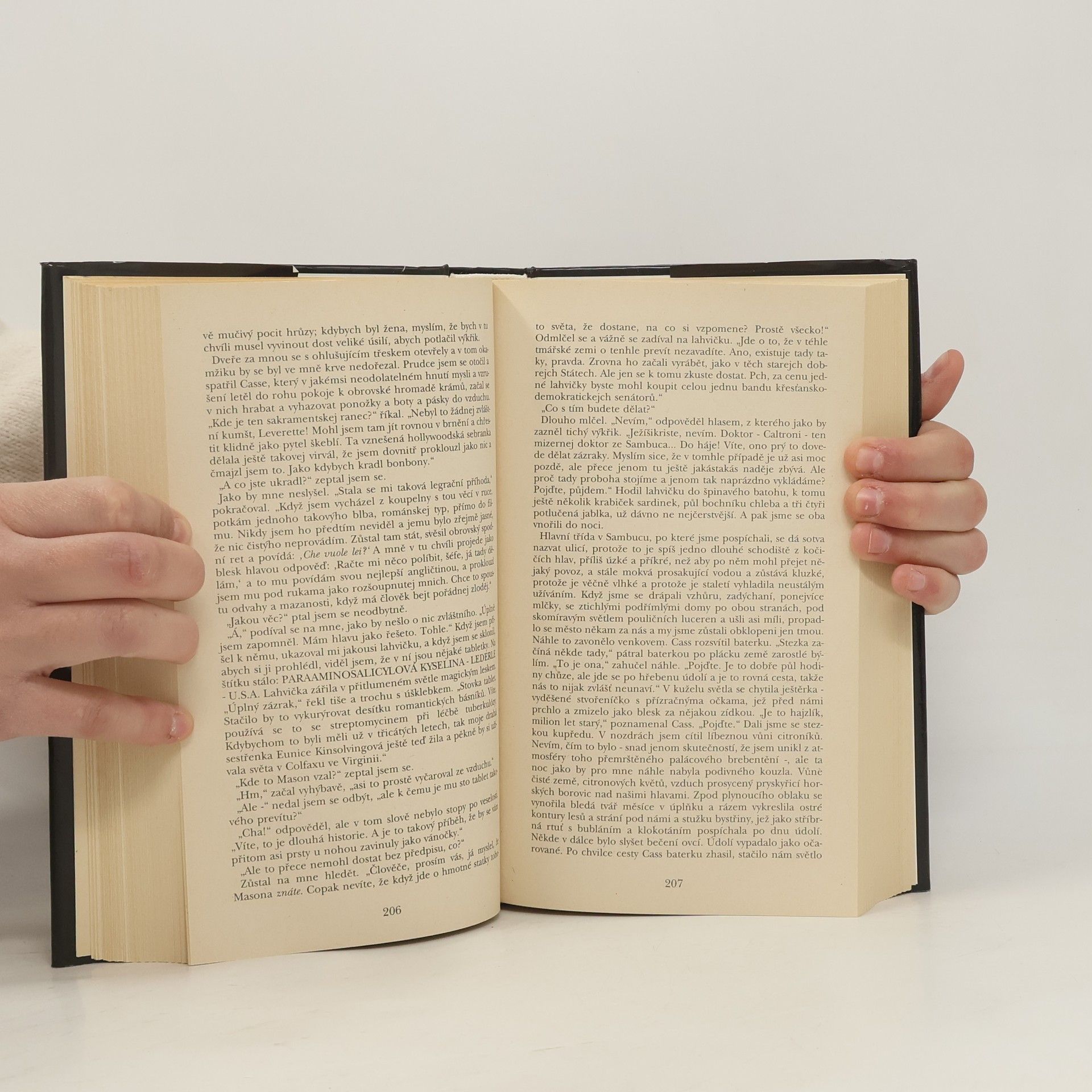 William Styron Zapal tento dům
