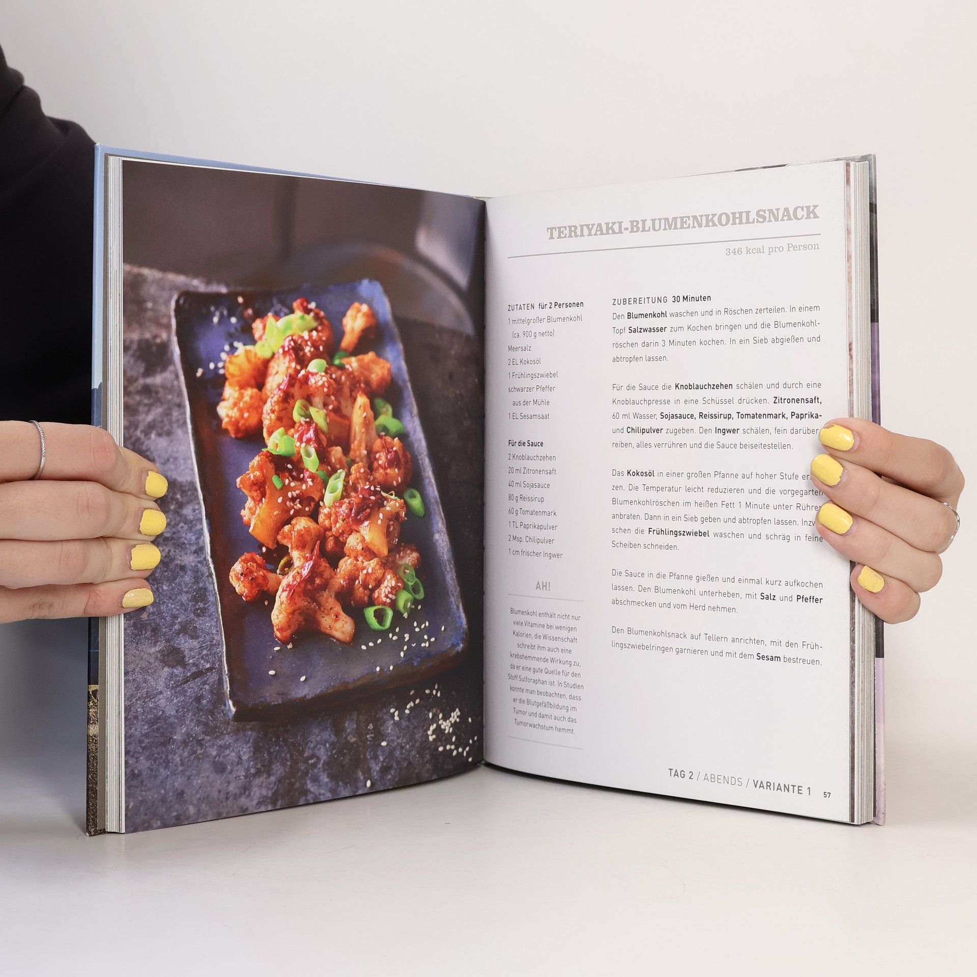 Attila Hildmann Vegan for fit - Gipfelstürmer