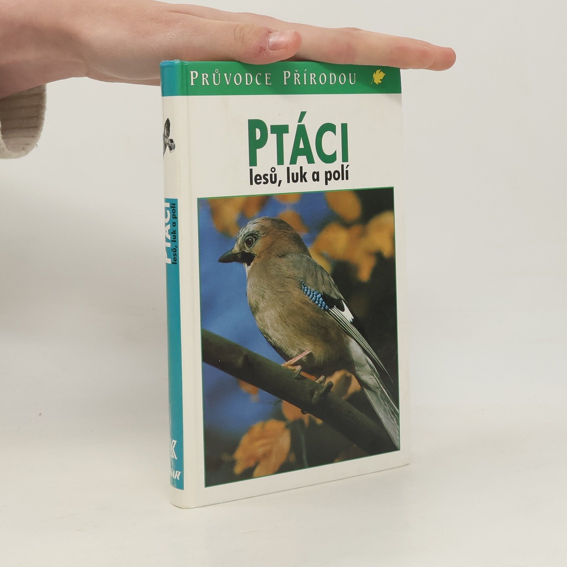 Sauer Frieder Ptáci lesů, luk a polí