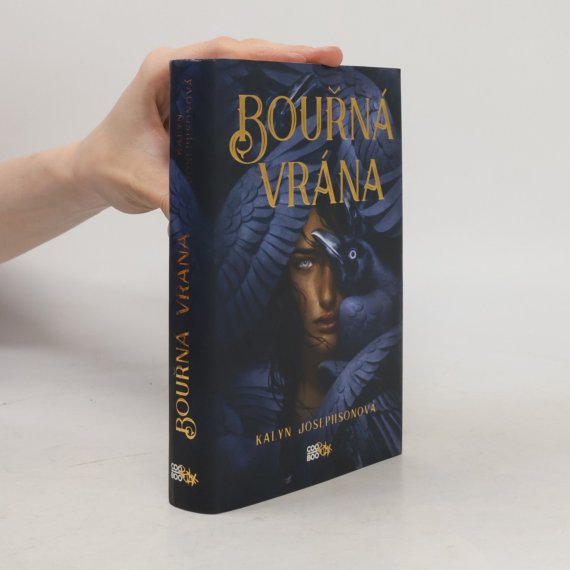Kalyn Josephson Bouřná vrána