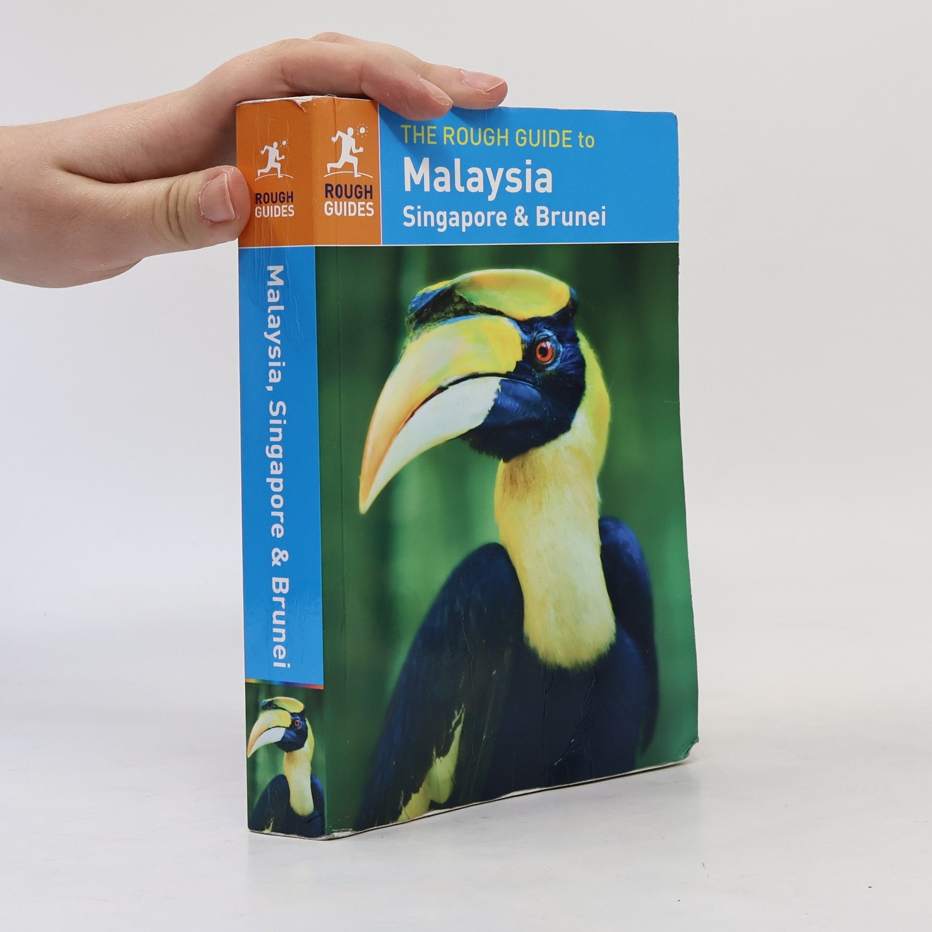 Richard Lim The Rough Guide to Malaysia, Singapore & Brunei
