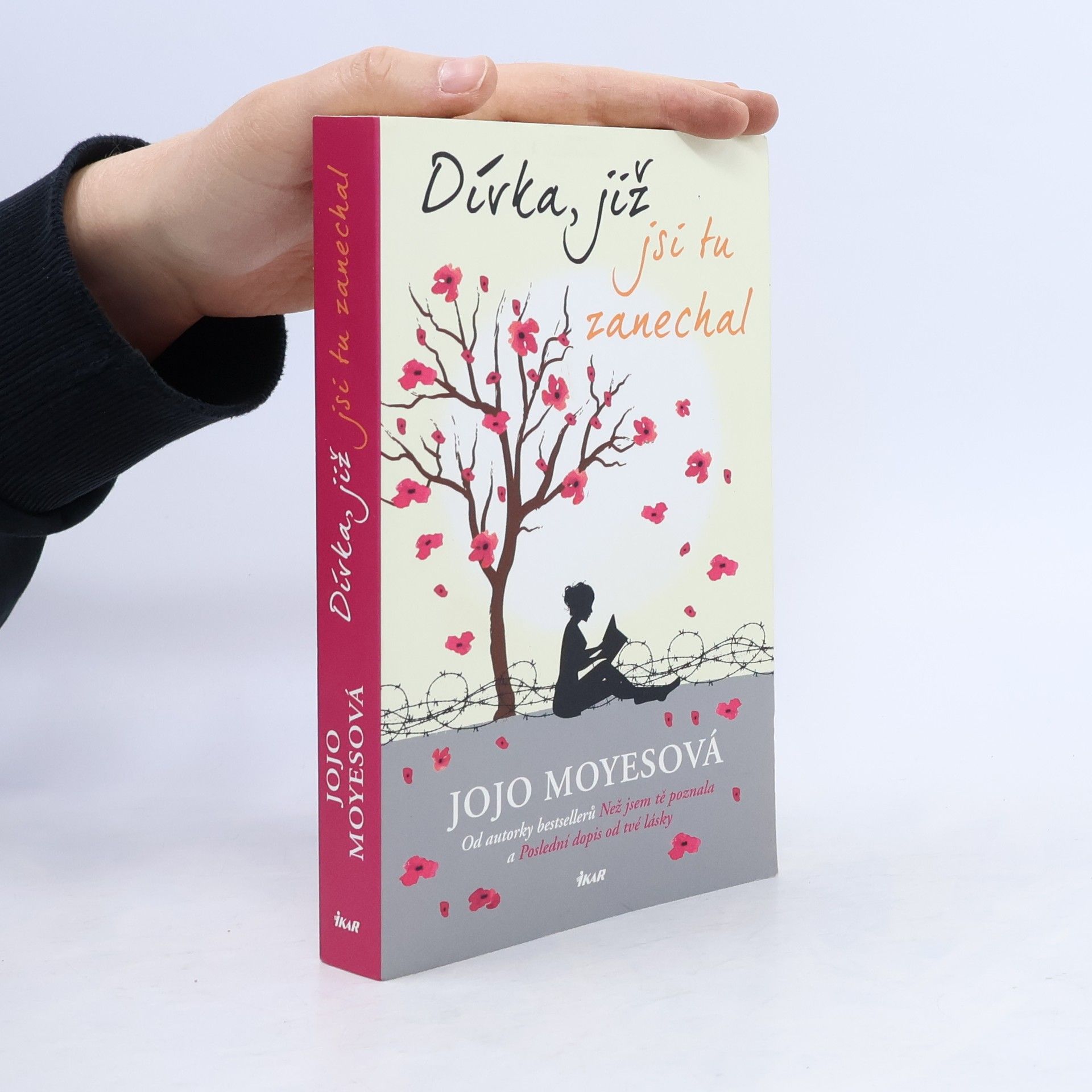 Jojo Moyes Dívka, již jsi tu zanechal