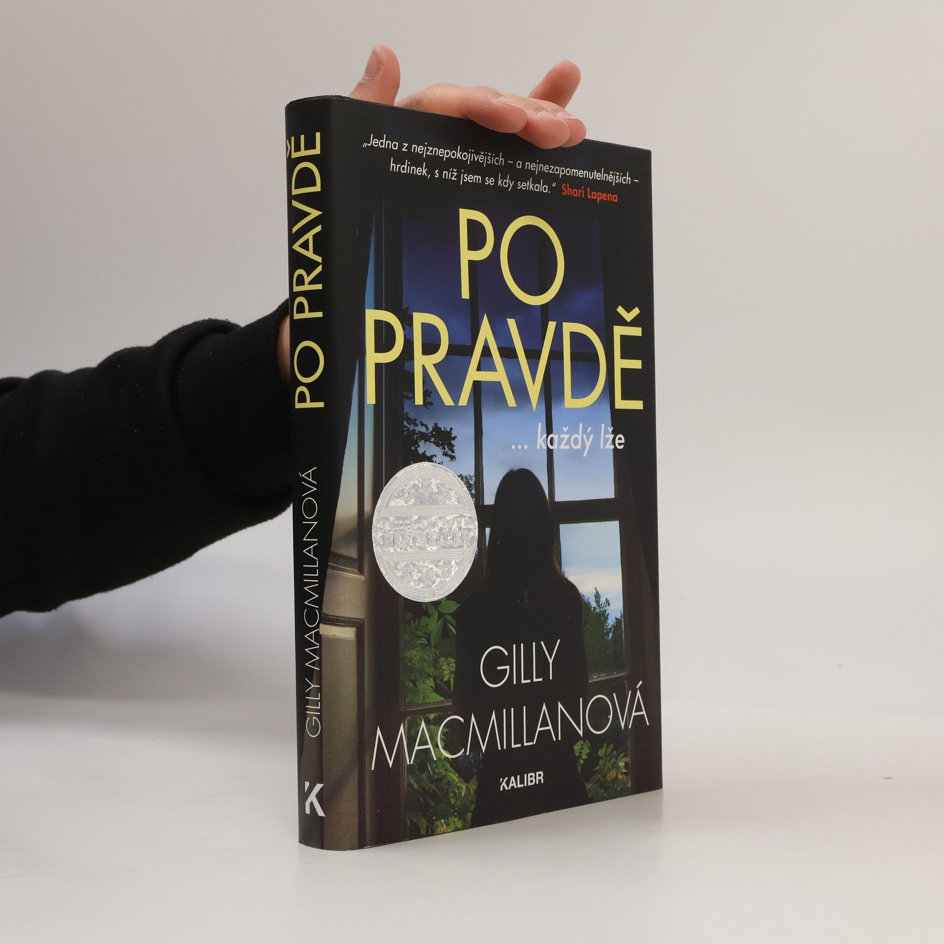 Gilly Macmillan Po pravdě ...každý lže