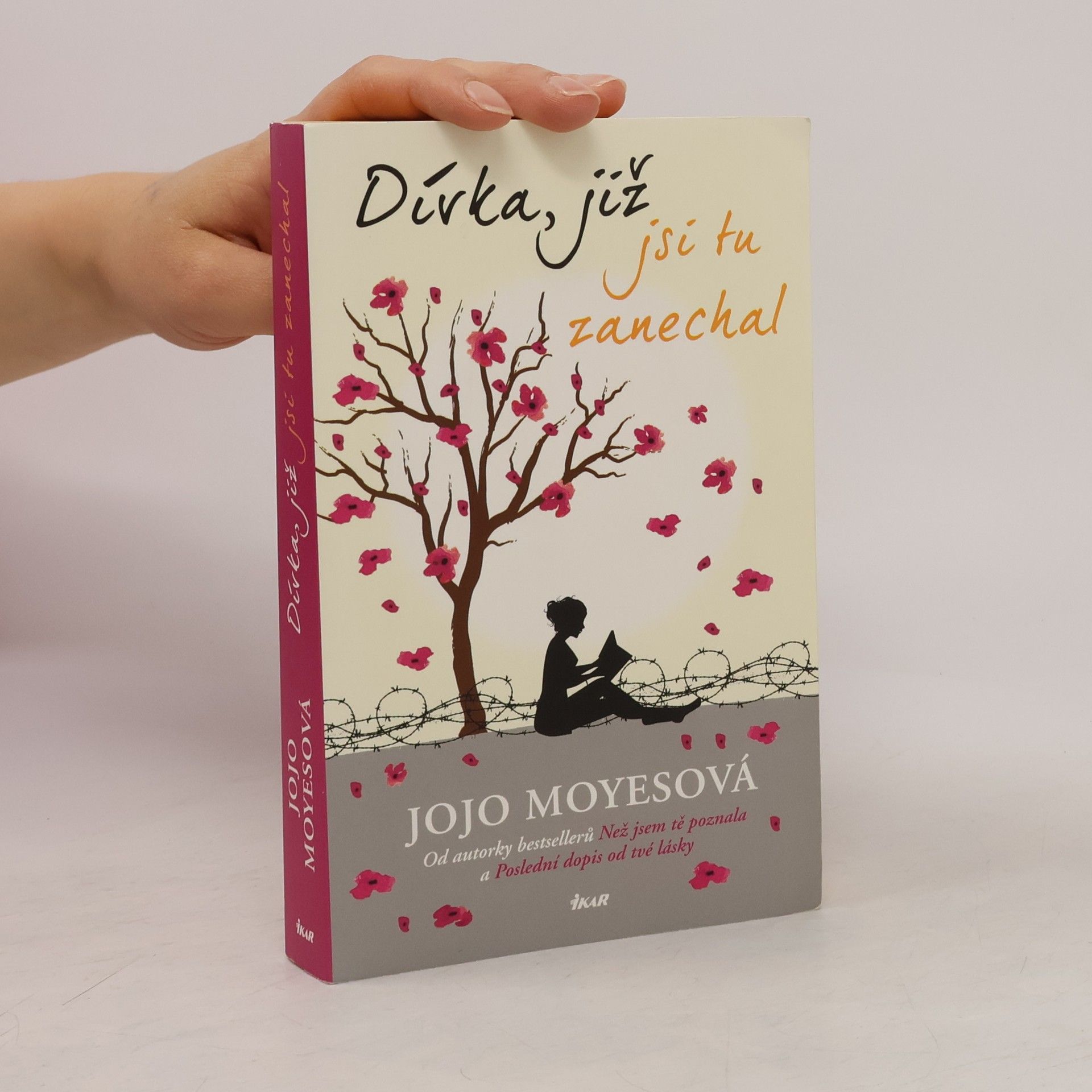 Jojo Moyes Dívka, již jsi tu zanechal