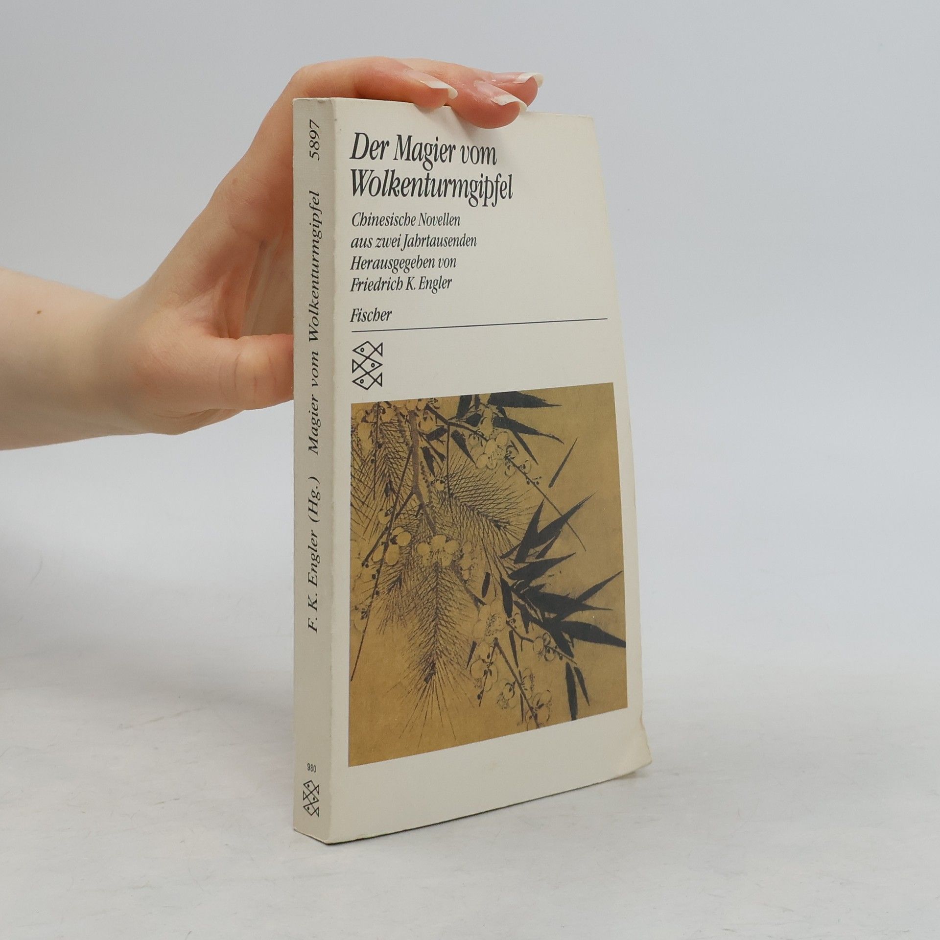 Friedrich K. Engler Der Magier vom Wolkenturmgipfel. Chinesische Novellen aus zwei Jahrtausenden