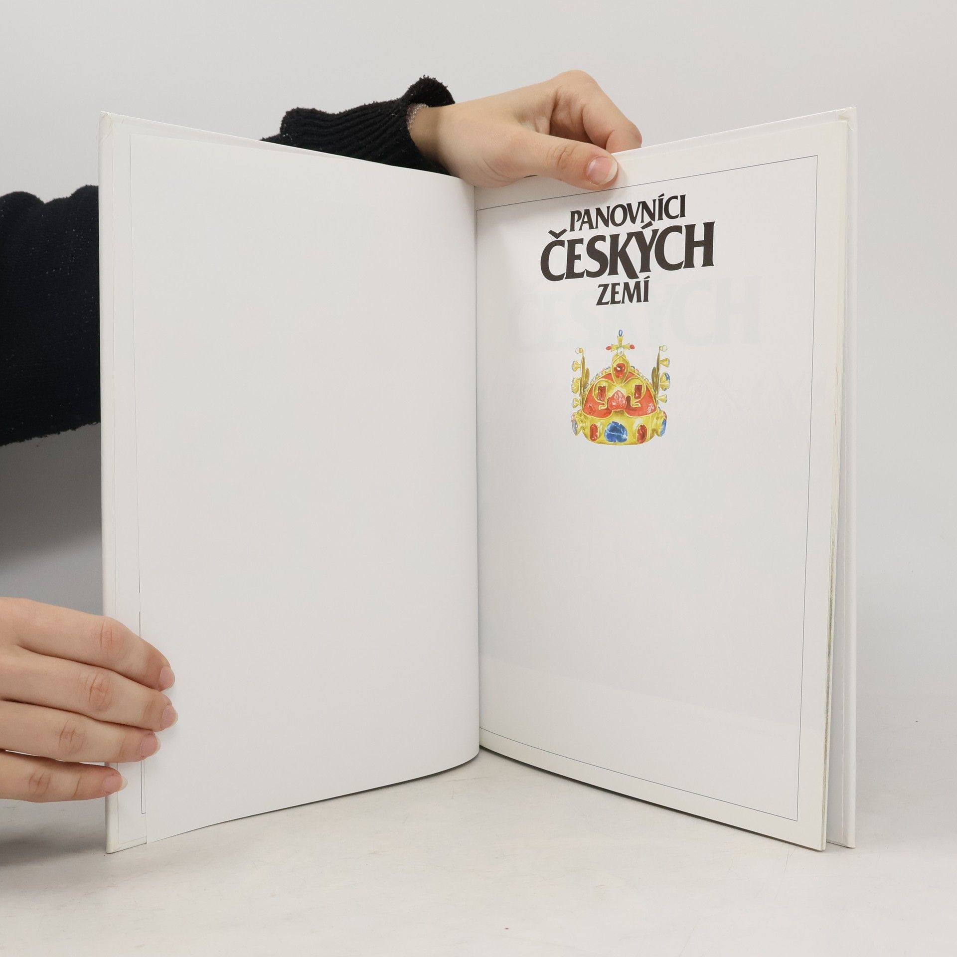 Autorenkollektiv Panovníci českých zemí