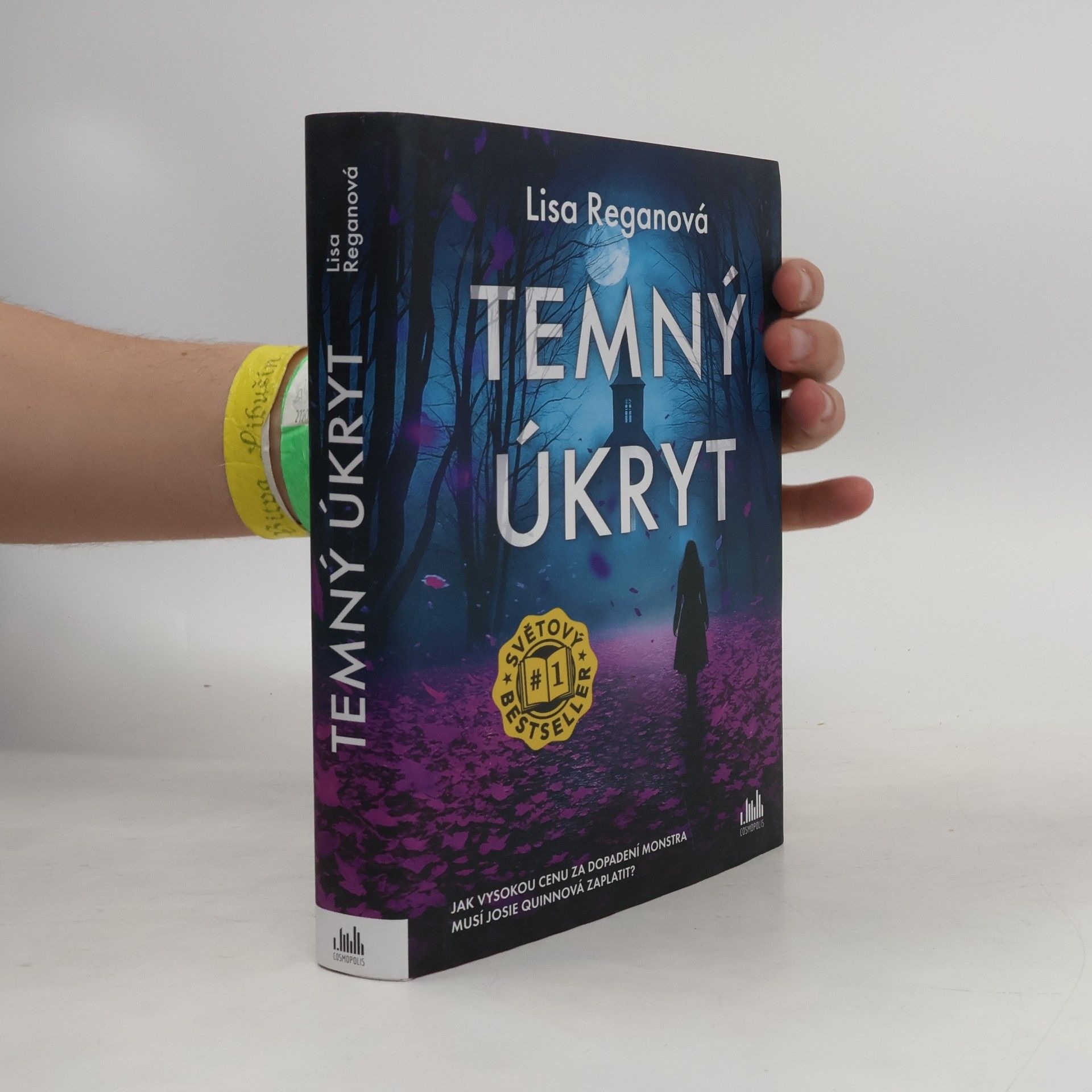 Lisa Regan Temný úkryt
