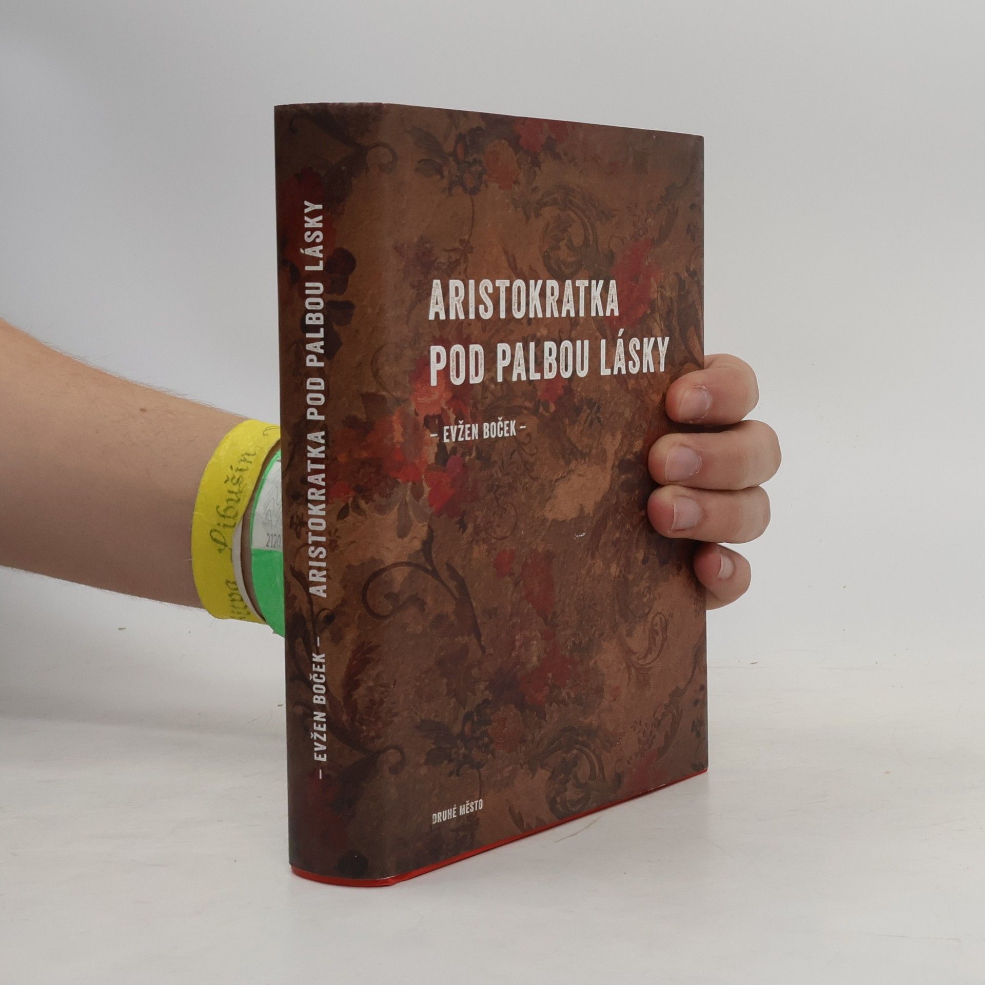 Evžen Boček Aristokratka pod palbou lásky