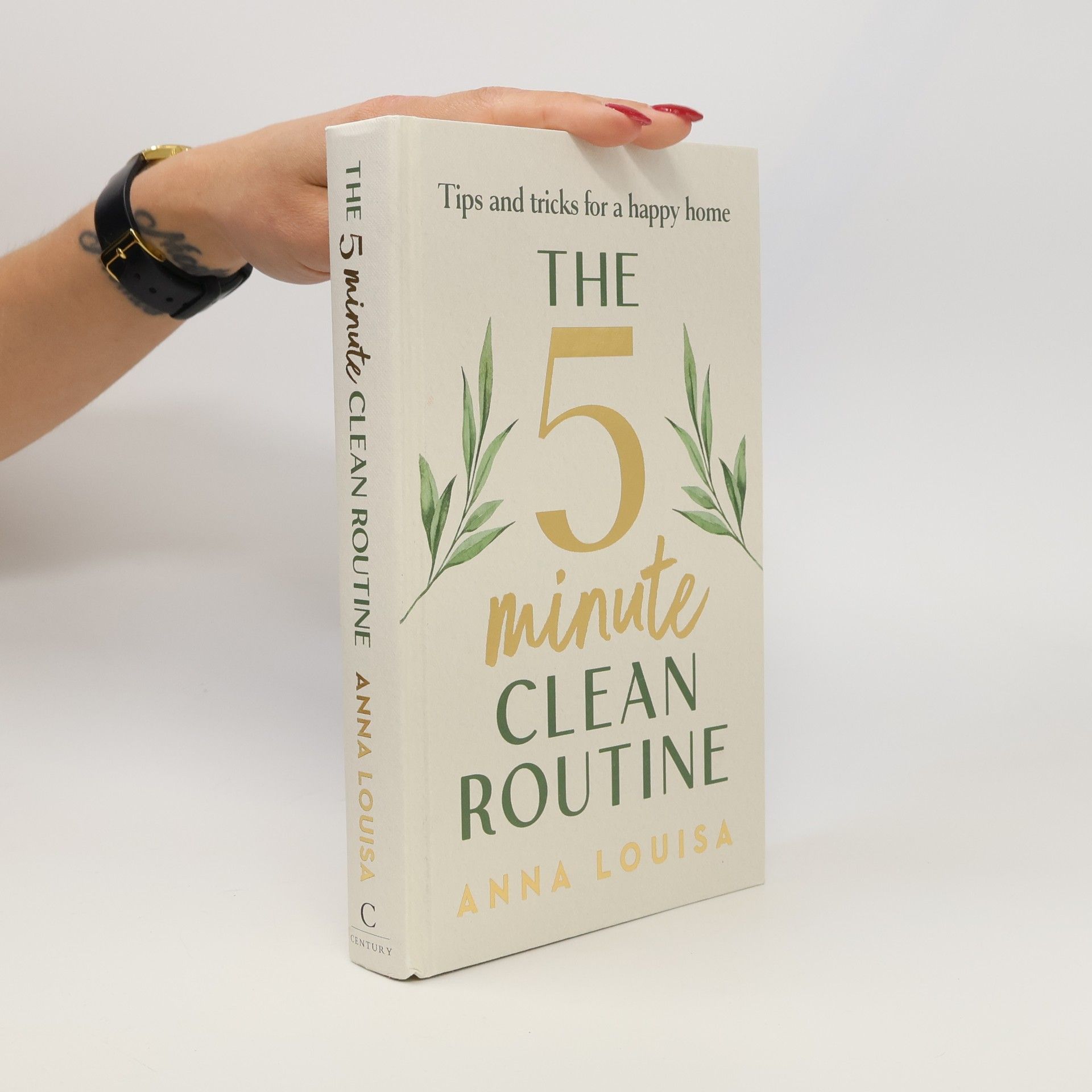 Anna Louisa The 5 Minute Clean Routine