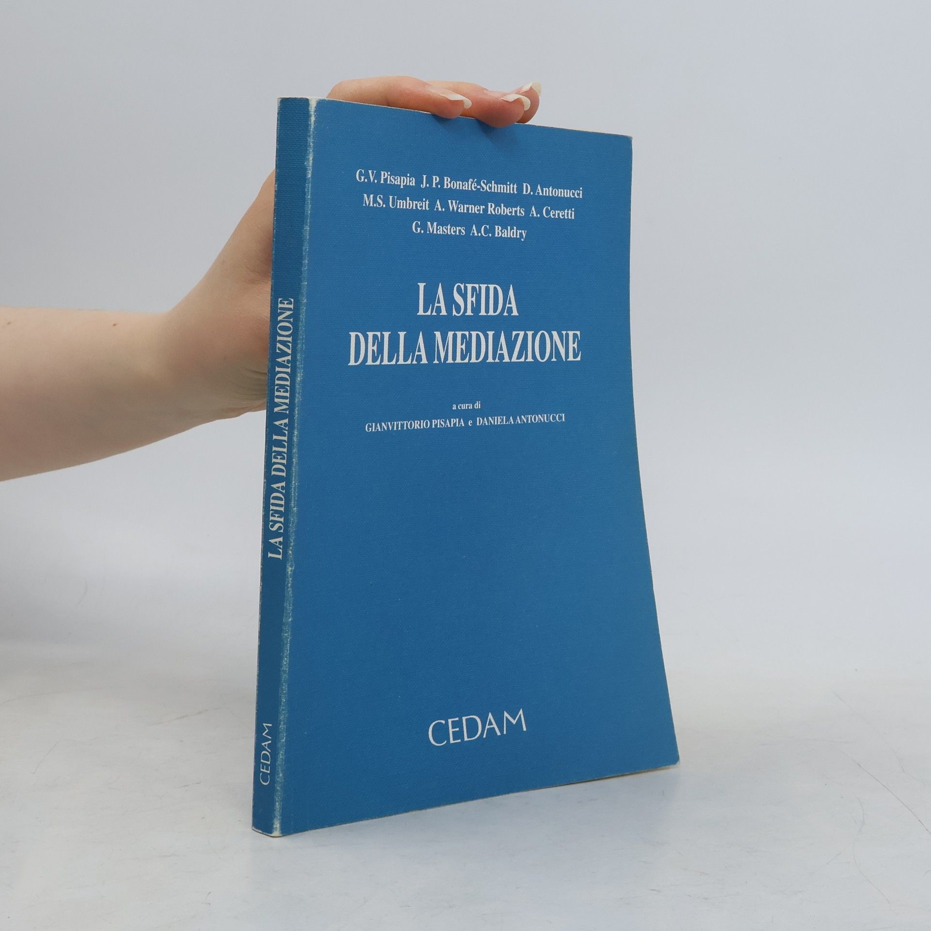 A. C. Baldry La sfida della mediazione
