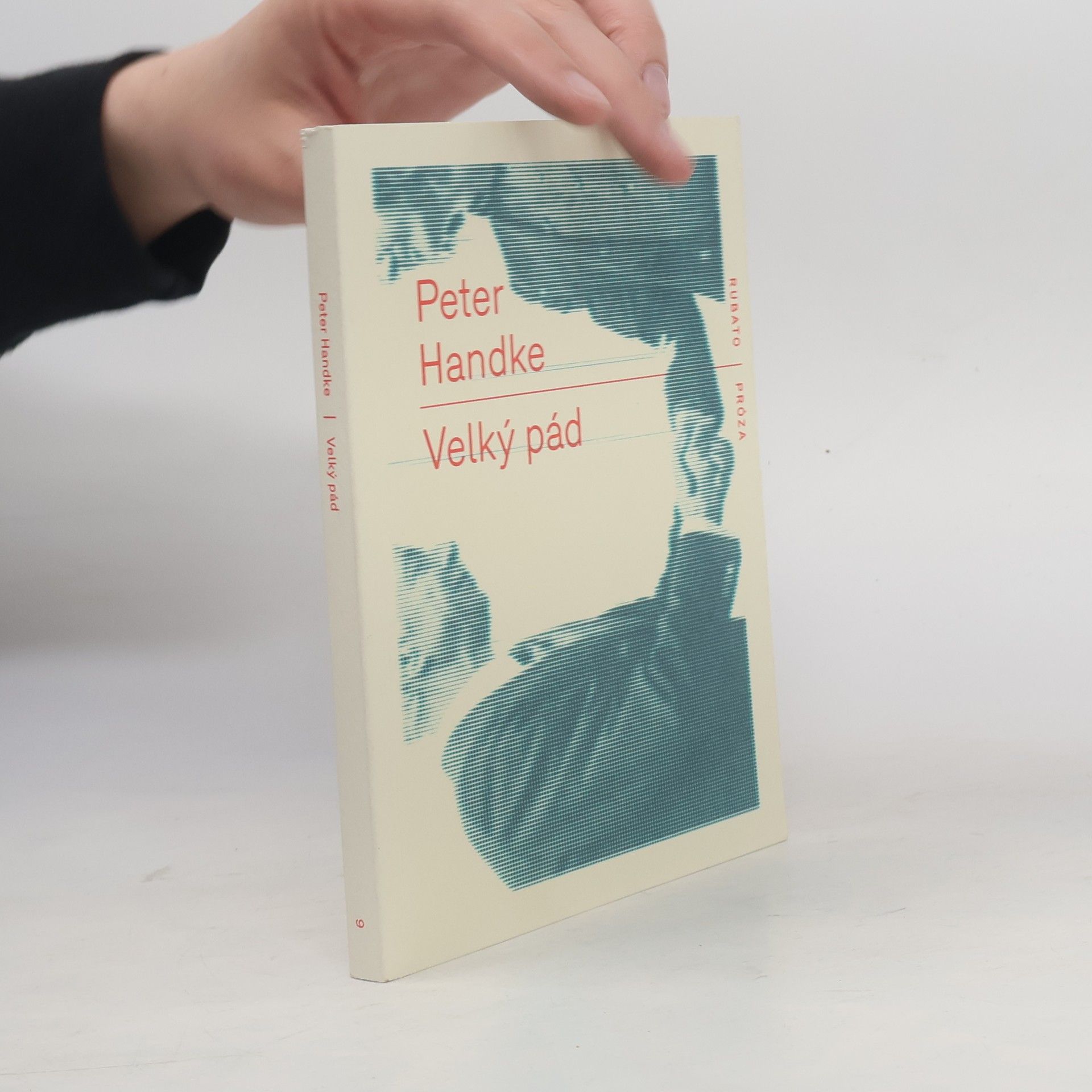 Peter Handke Velký pád