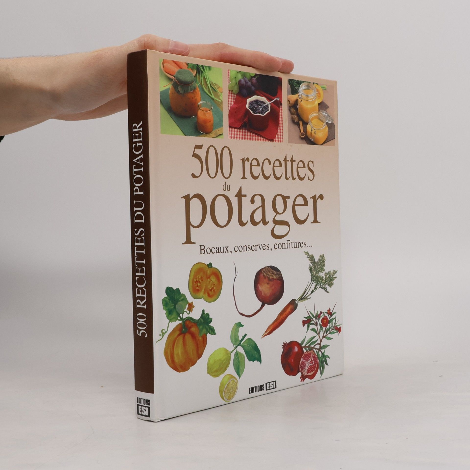 Publicimo 500 recettes du potager